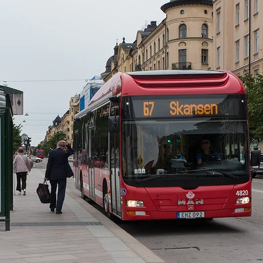 buss.jpg