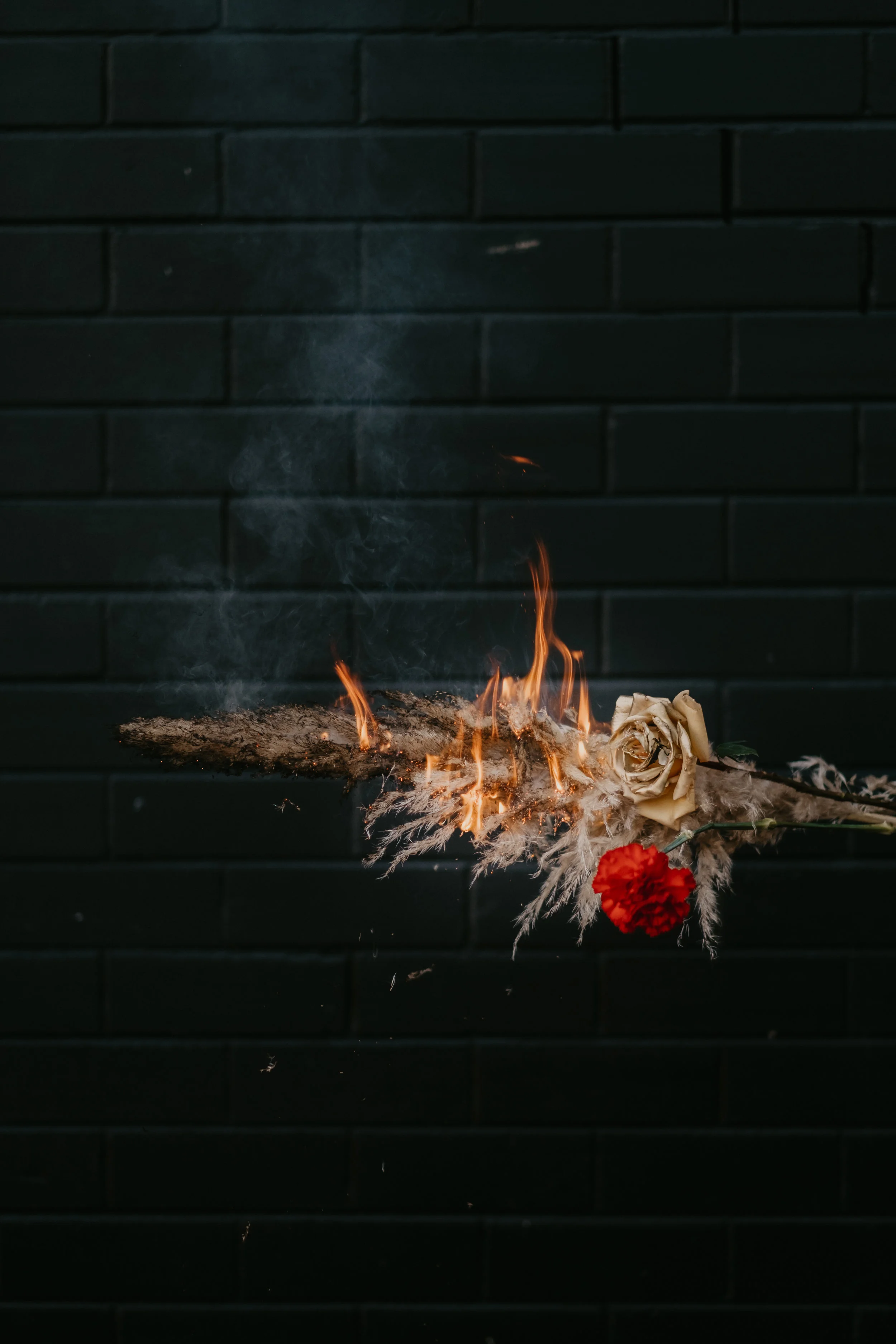 gretawolzakphotography (118 of 118).jpg