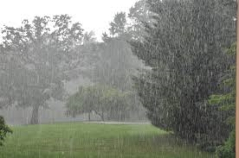 Hi With the exceptionally wet weather over the past 48 hours training tonight is cancelled. Please tell parents. We need to be mindful of the state of the cricket pitch and park in general to ensure we can continue to use Carlisle over the summer. We don't wish to risk losing the facility for continuing with 1 session after a whole bunch of heavy rain, as has happened in the past. Training subs due to Onside will carry on over to the next session. Thanks
