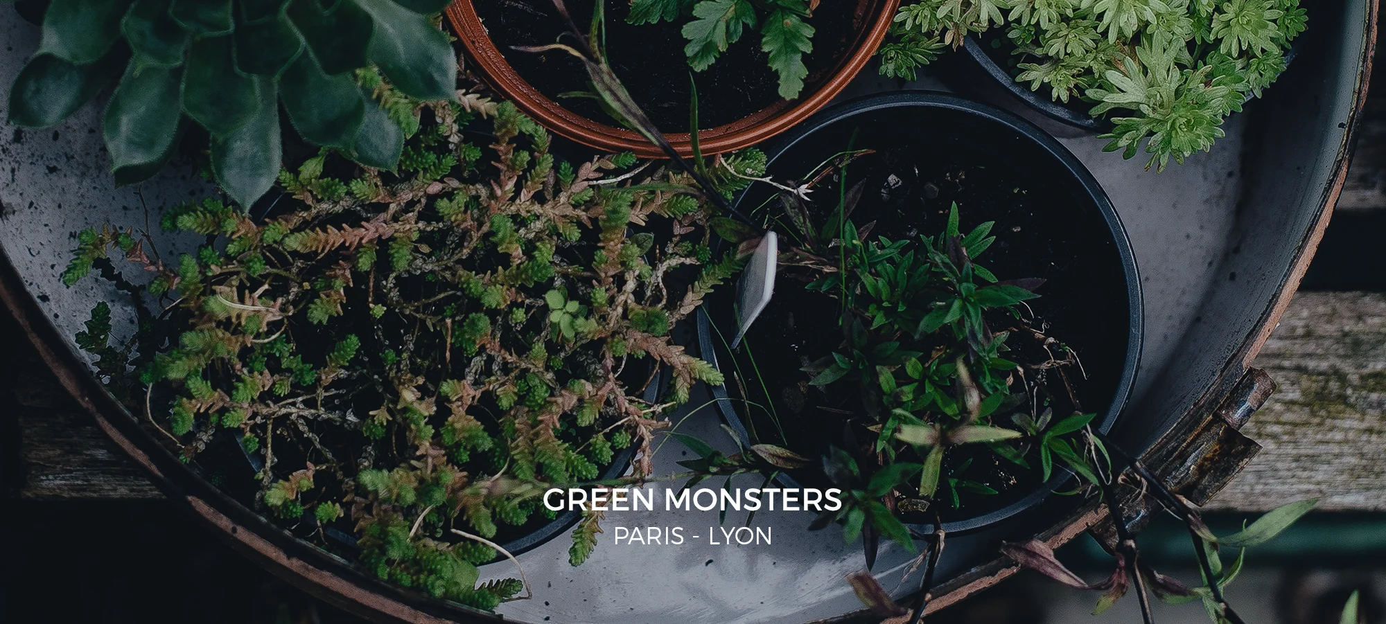 Green-monsters-contact.jpg