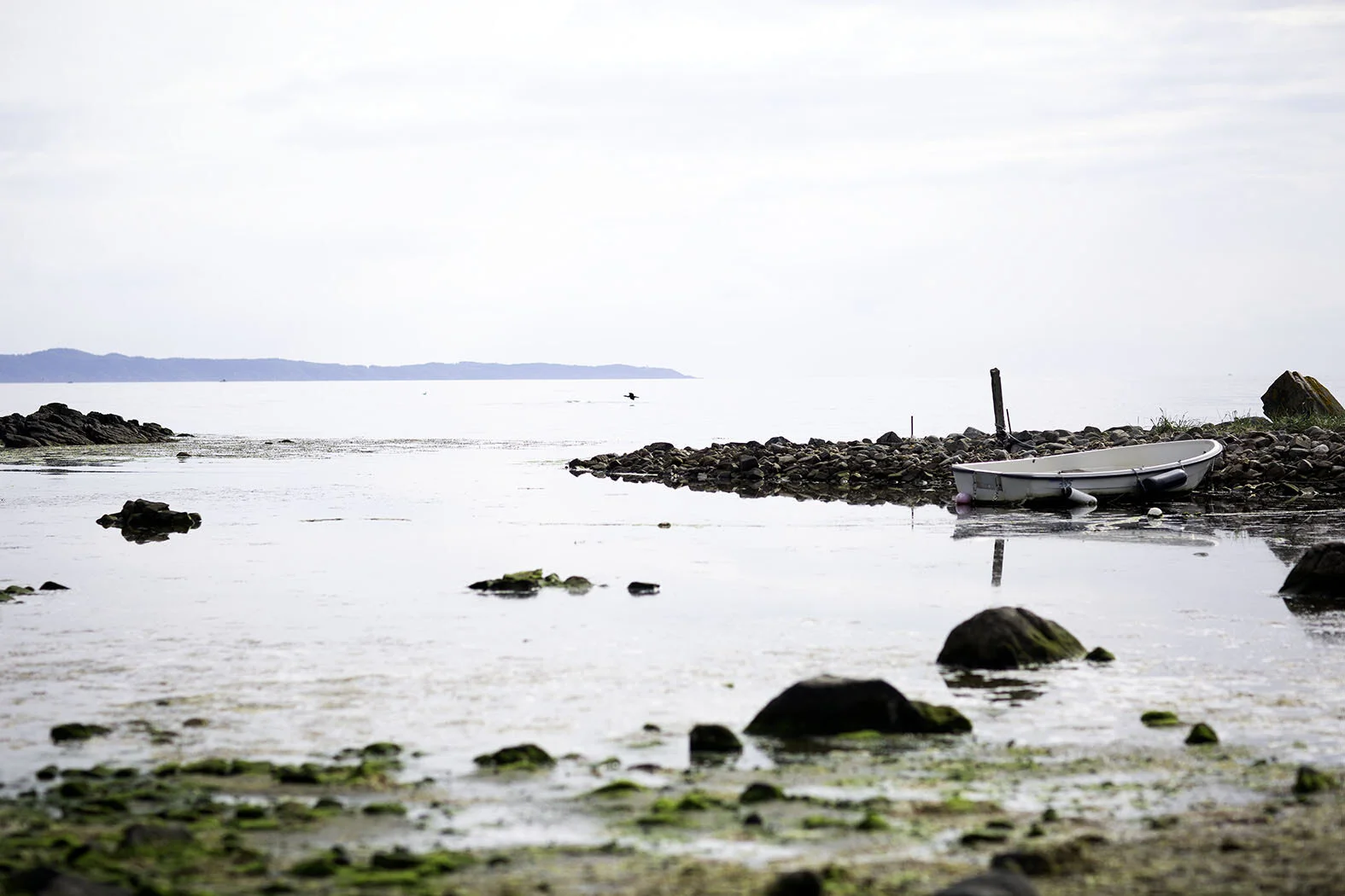 hamn.jpg