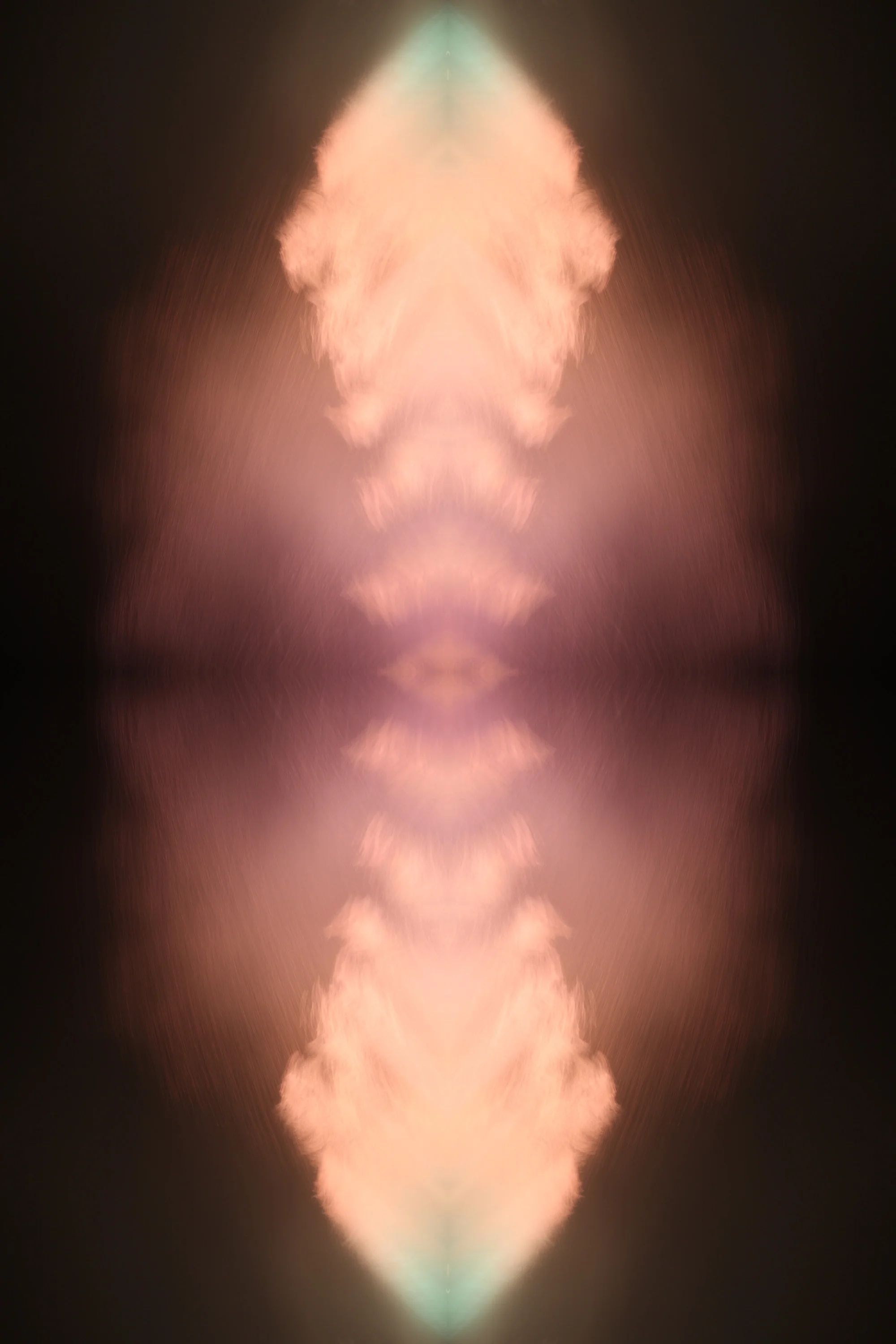 Entity_10.jpg