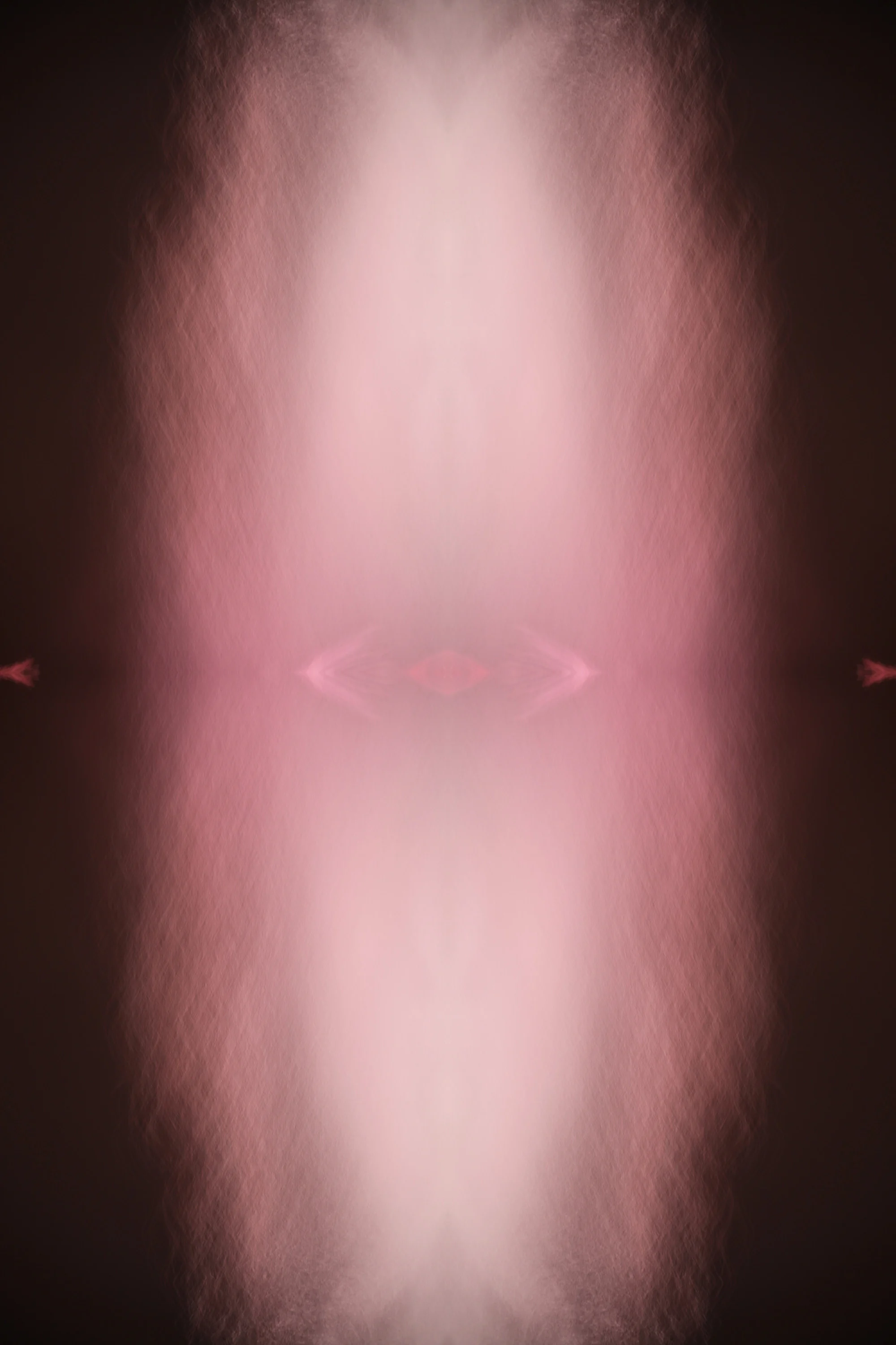 entity_14.jpg