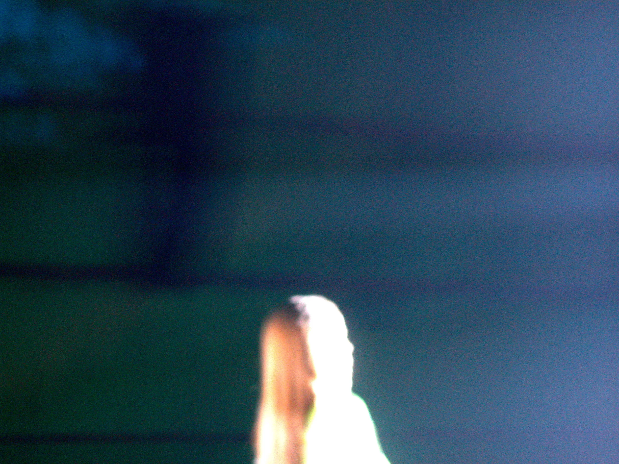 PassingShowA_011.jpg