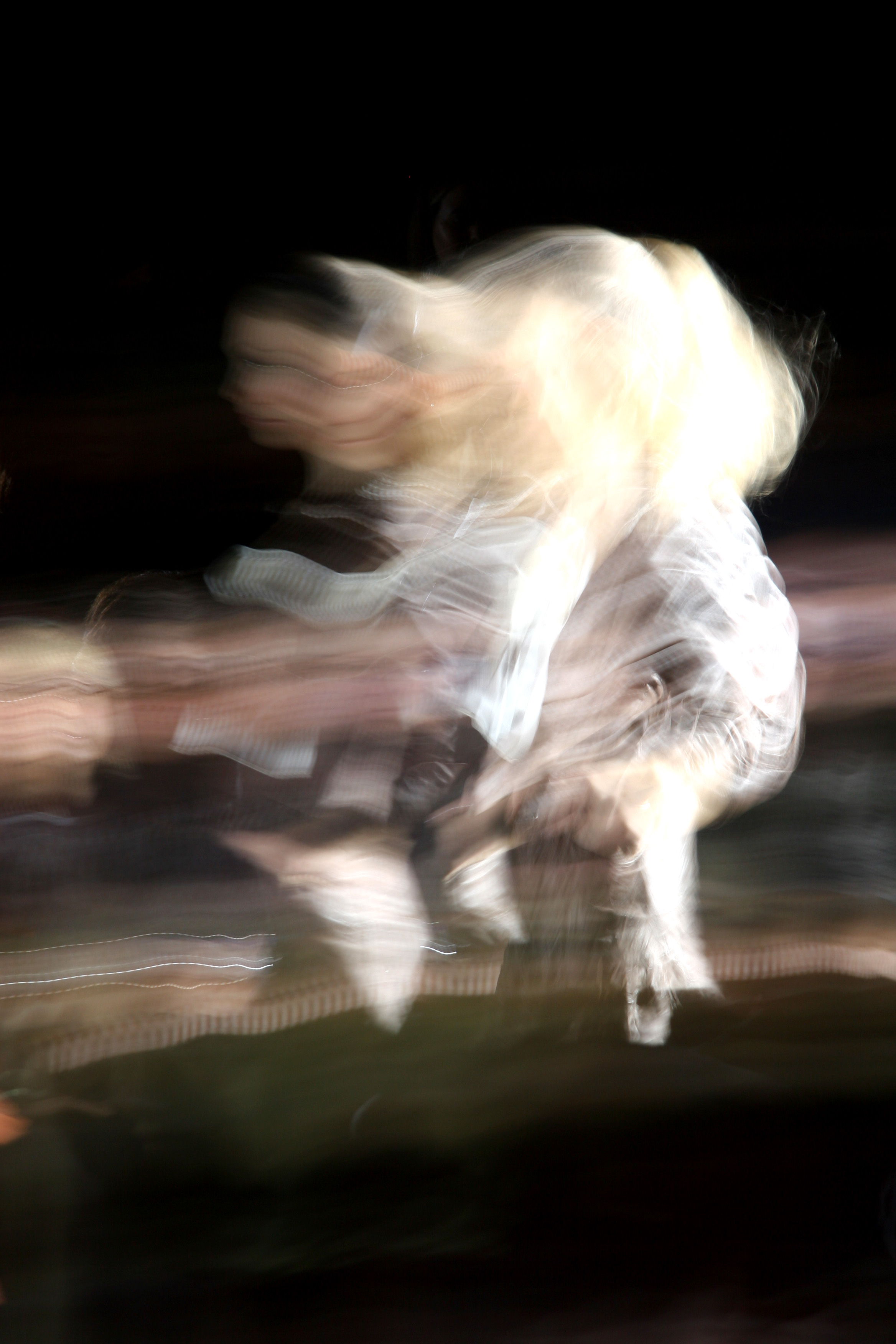 PassingShowC_037.jpg