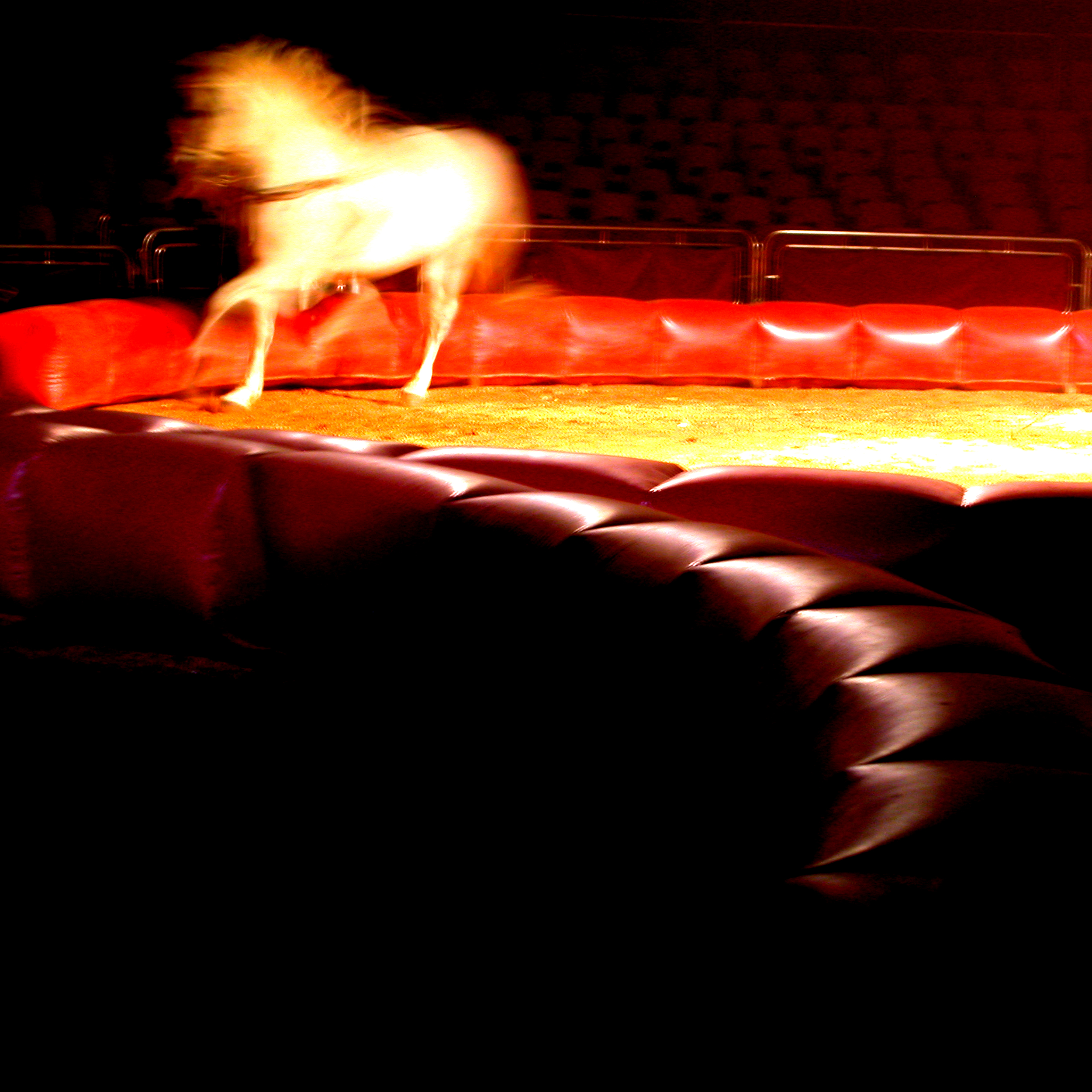 circo_expo_01.jpg
