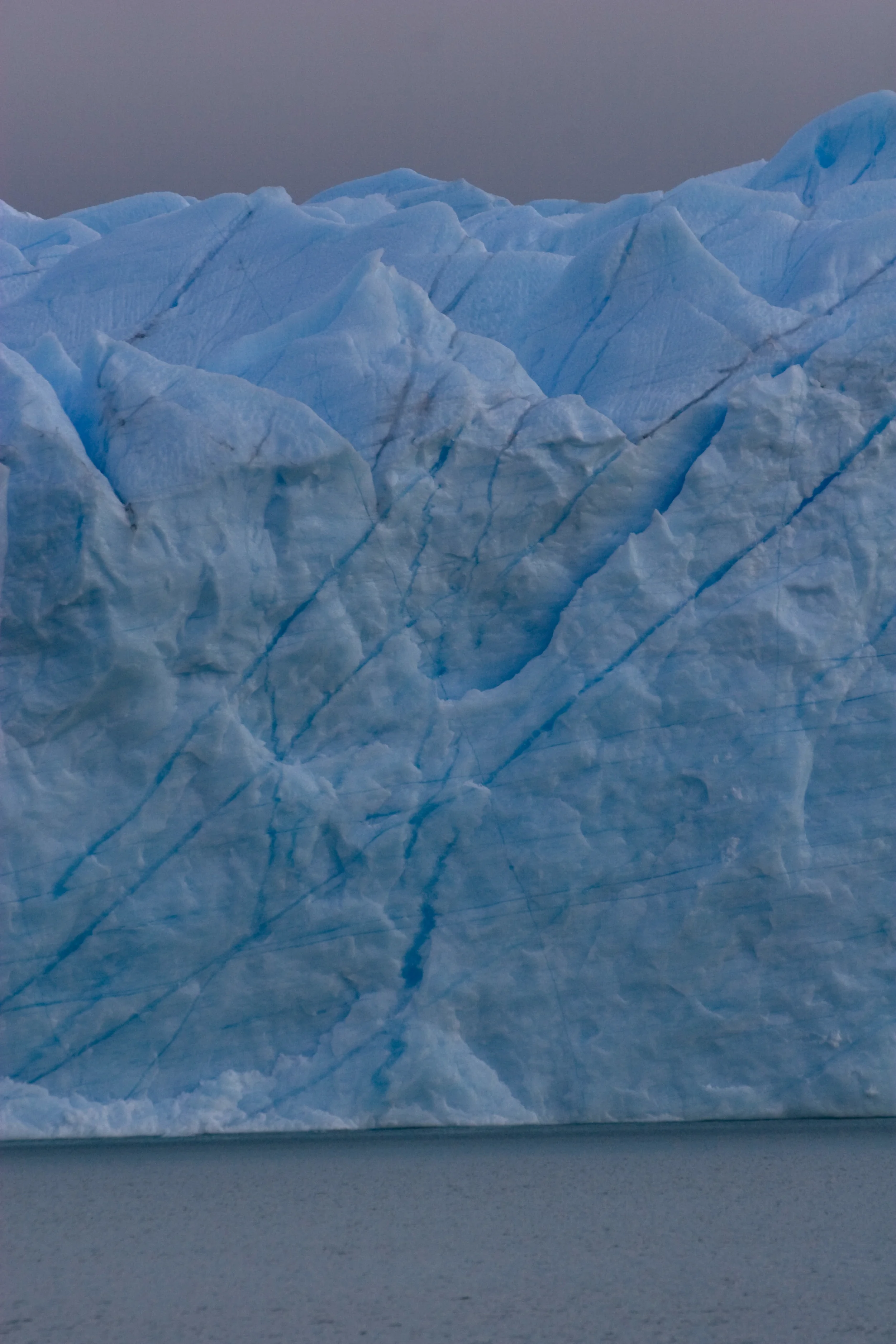 Arg_1asel_178.jpg