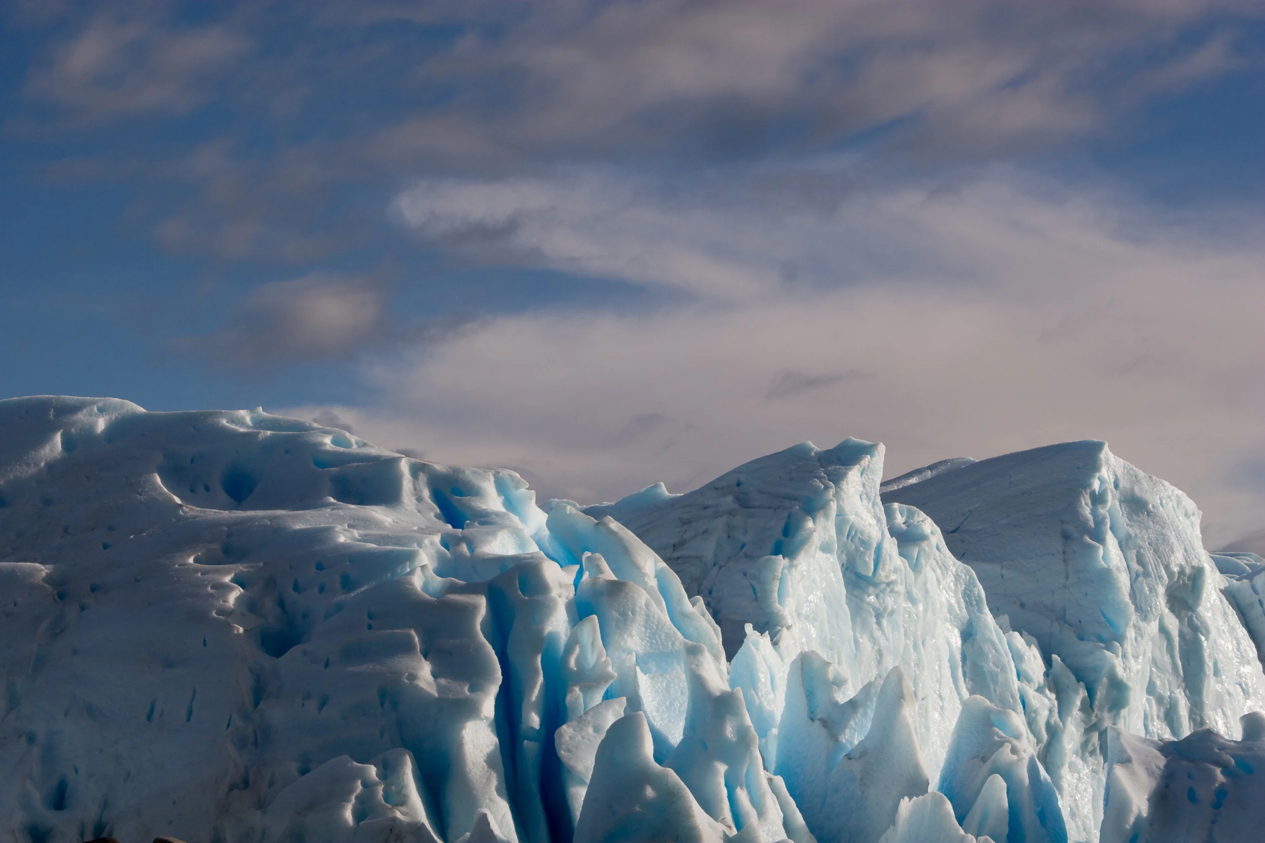 Arg_1asel_206.jpg