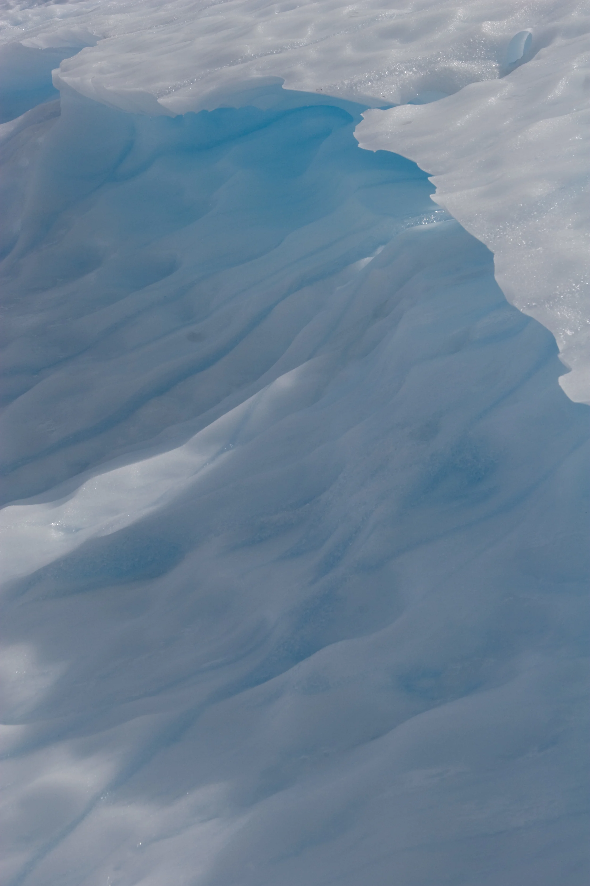 Arg_1asel_279.jpg