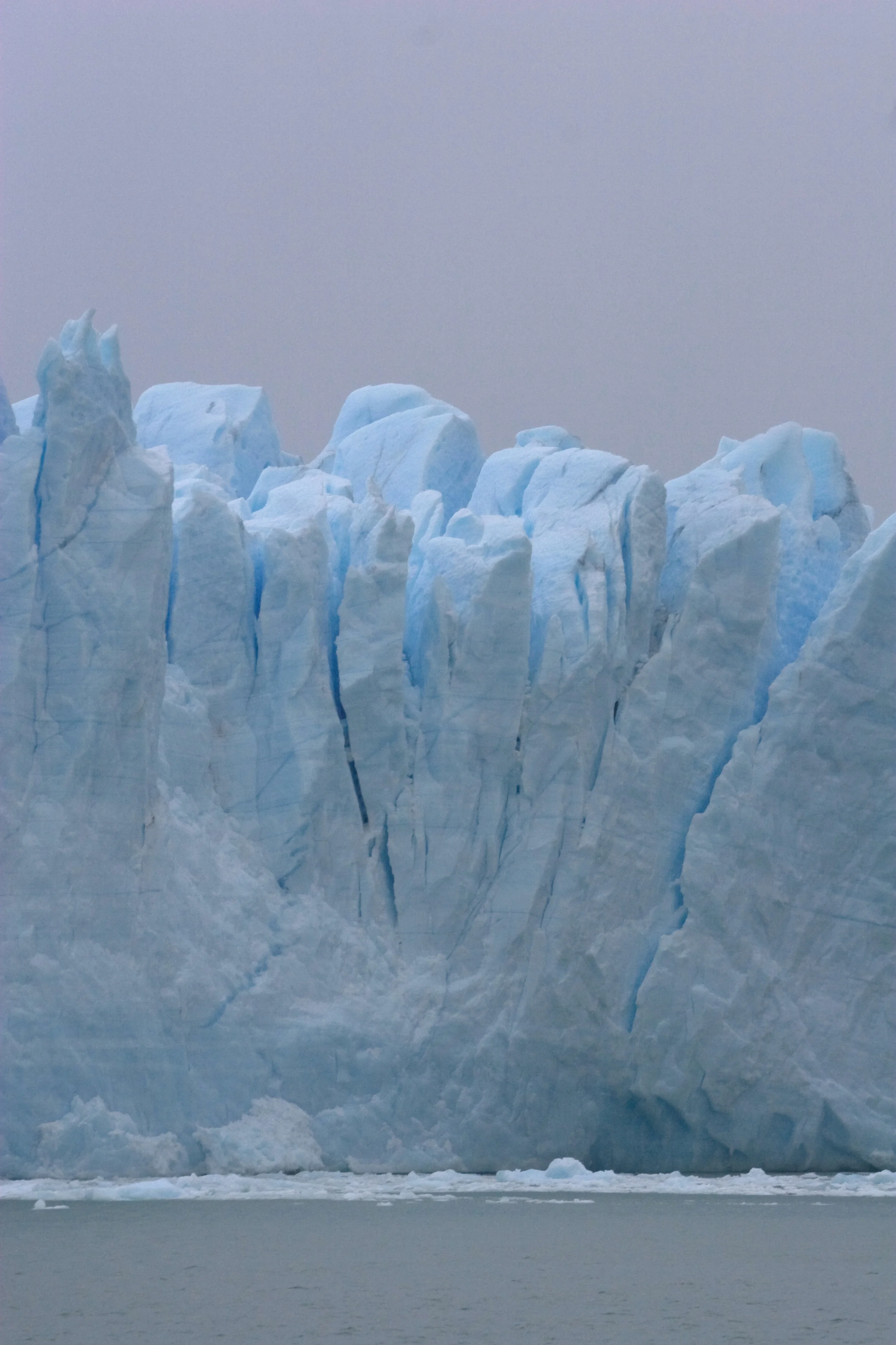 Arg_1asel_343.jpg