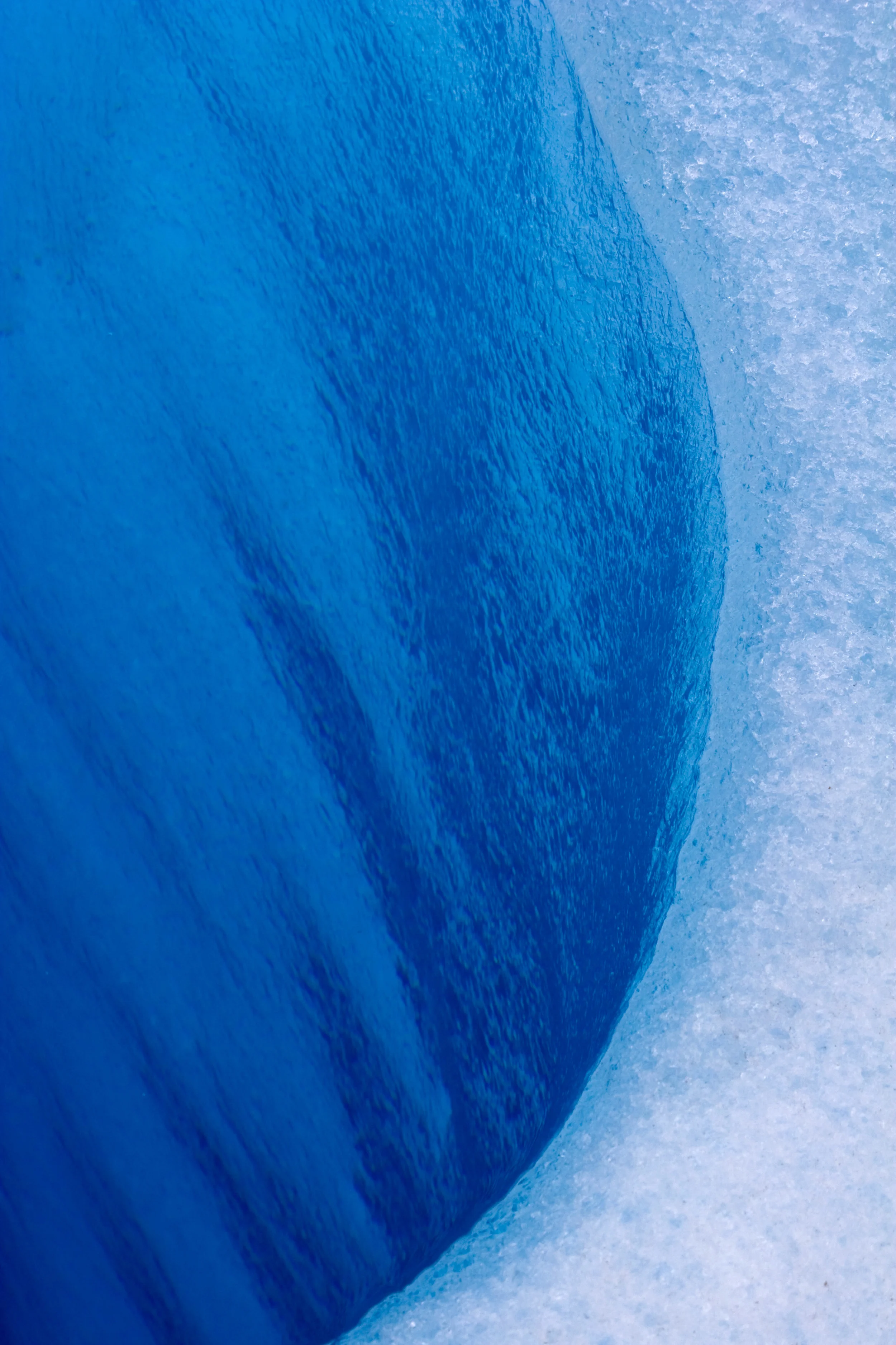 Arg_1asel_234.jpg