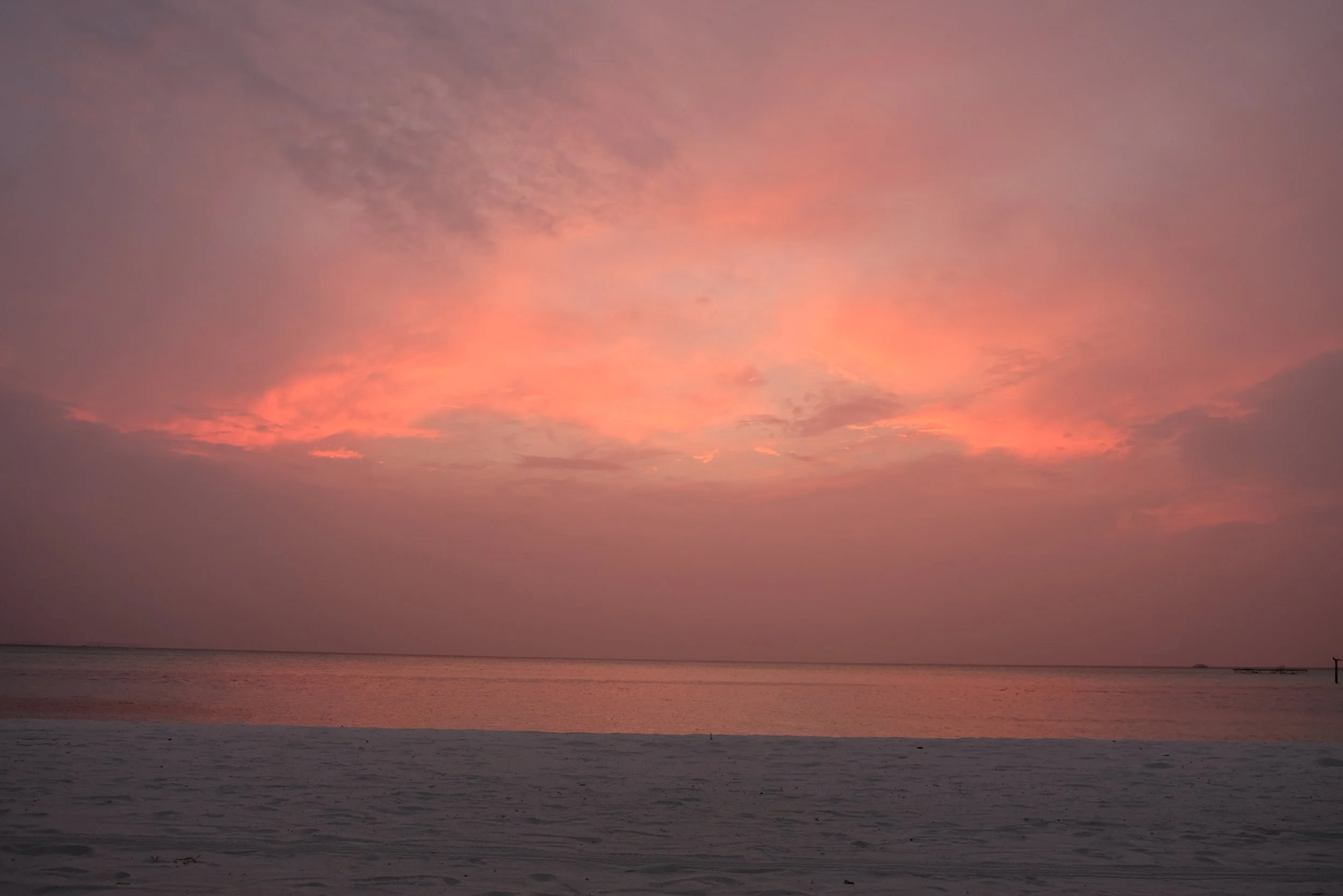 DSCF0800.JPG