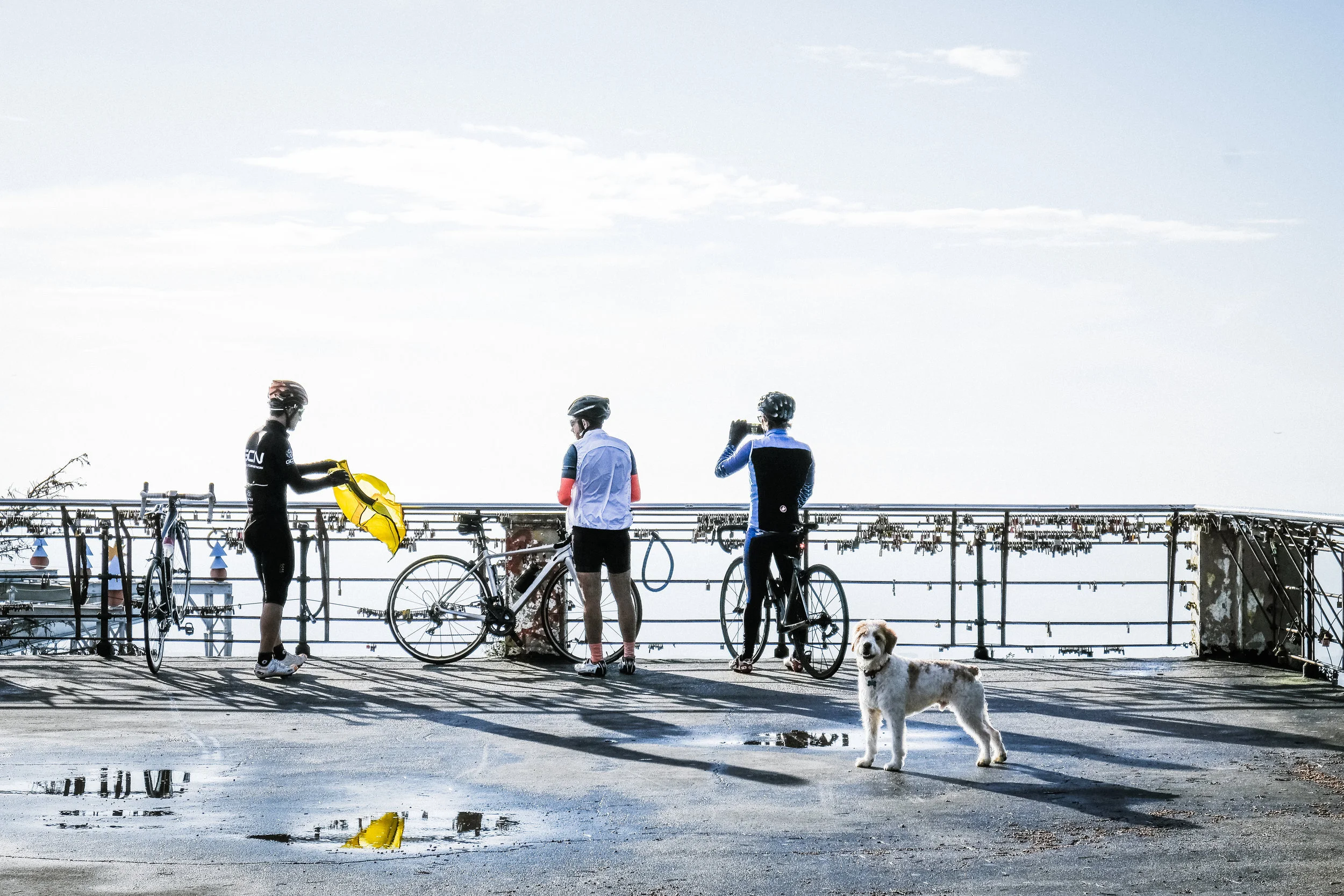 acta_bici-2.jpg