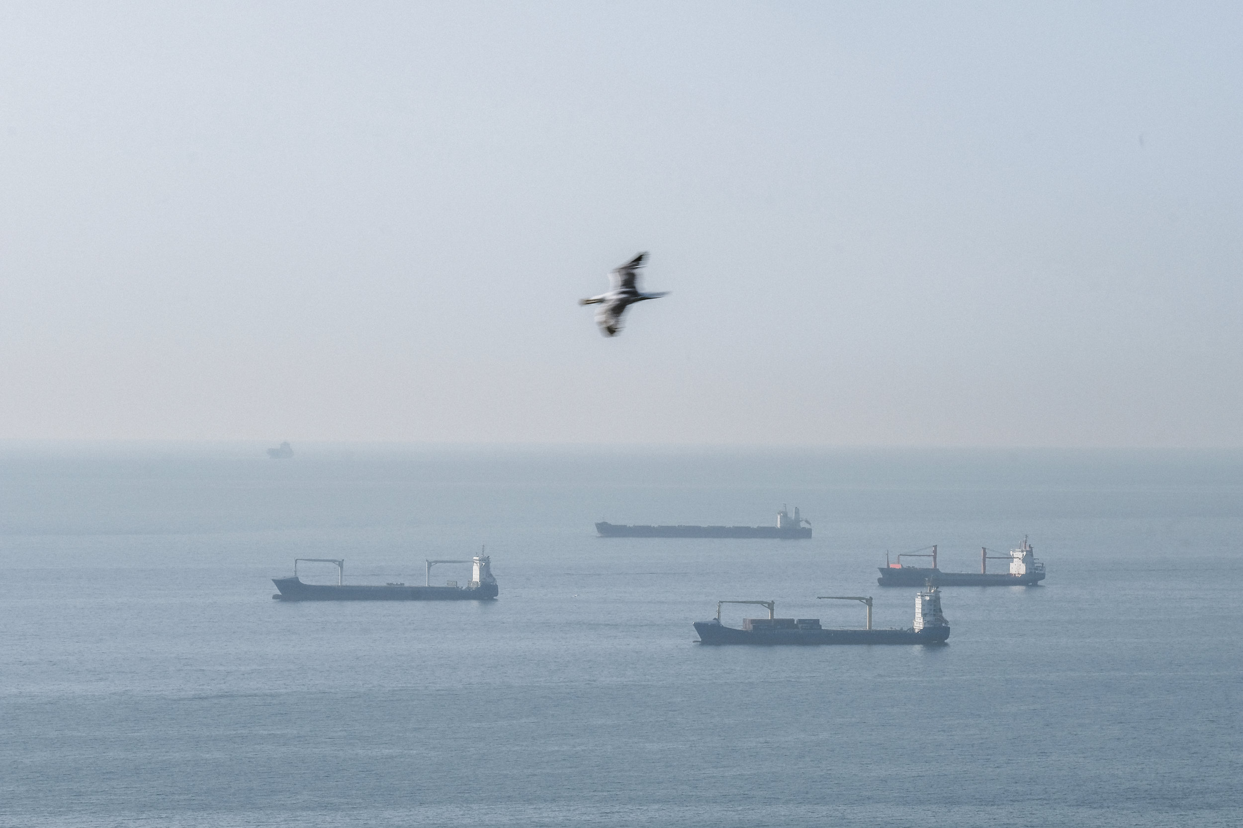 acta_barcos-1.jpg