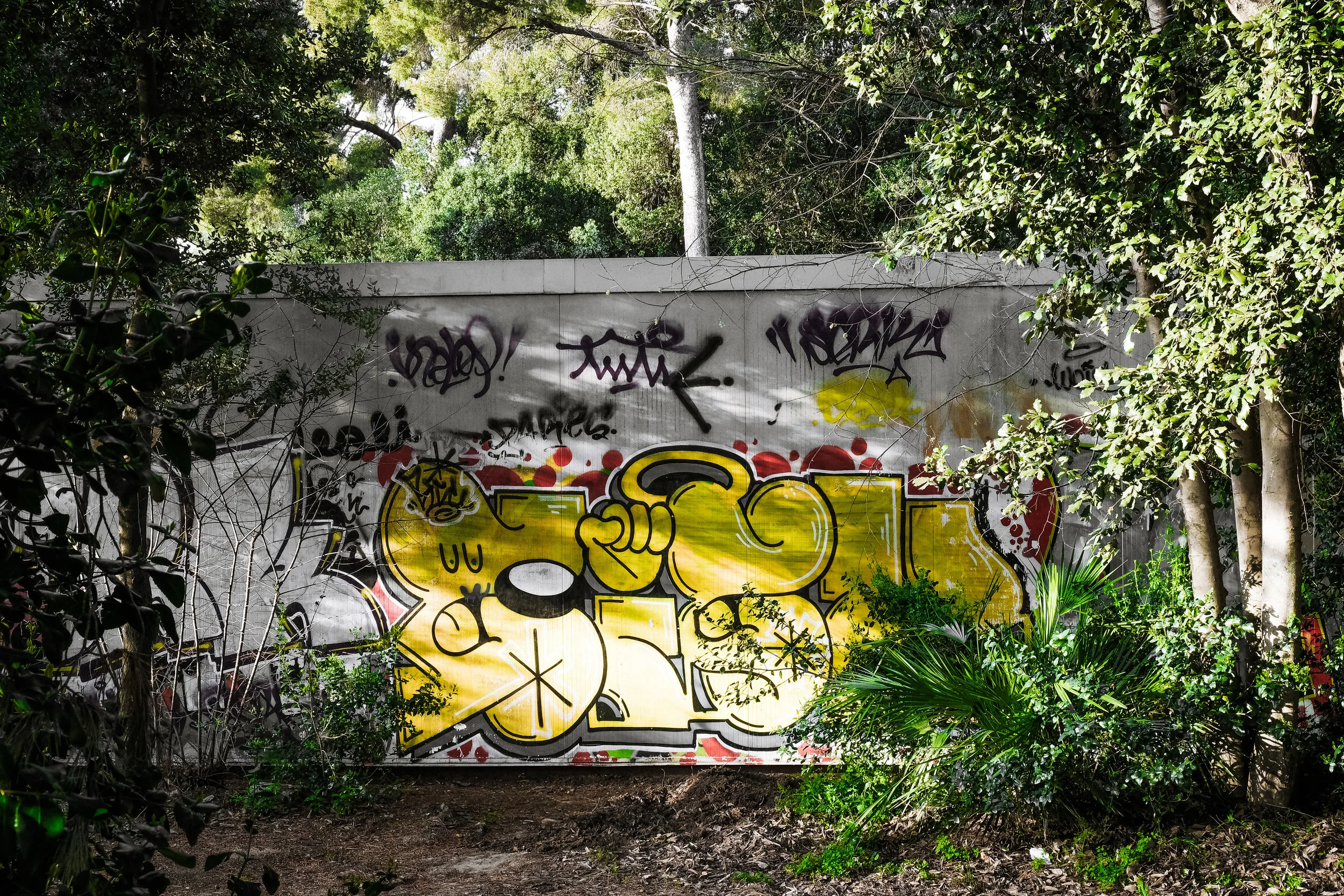 acta_grafitti-1_2.jpg