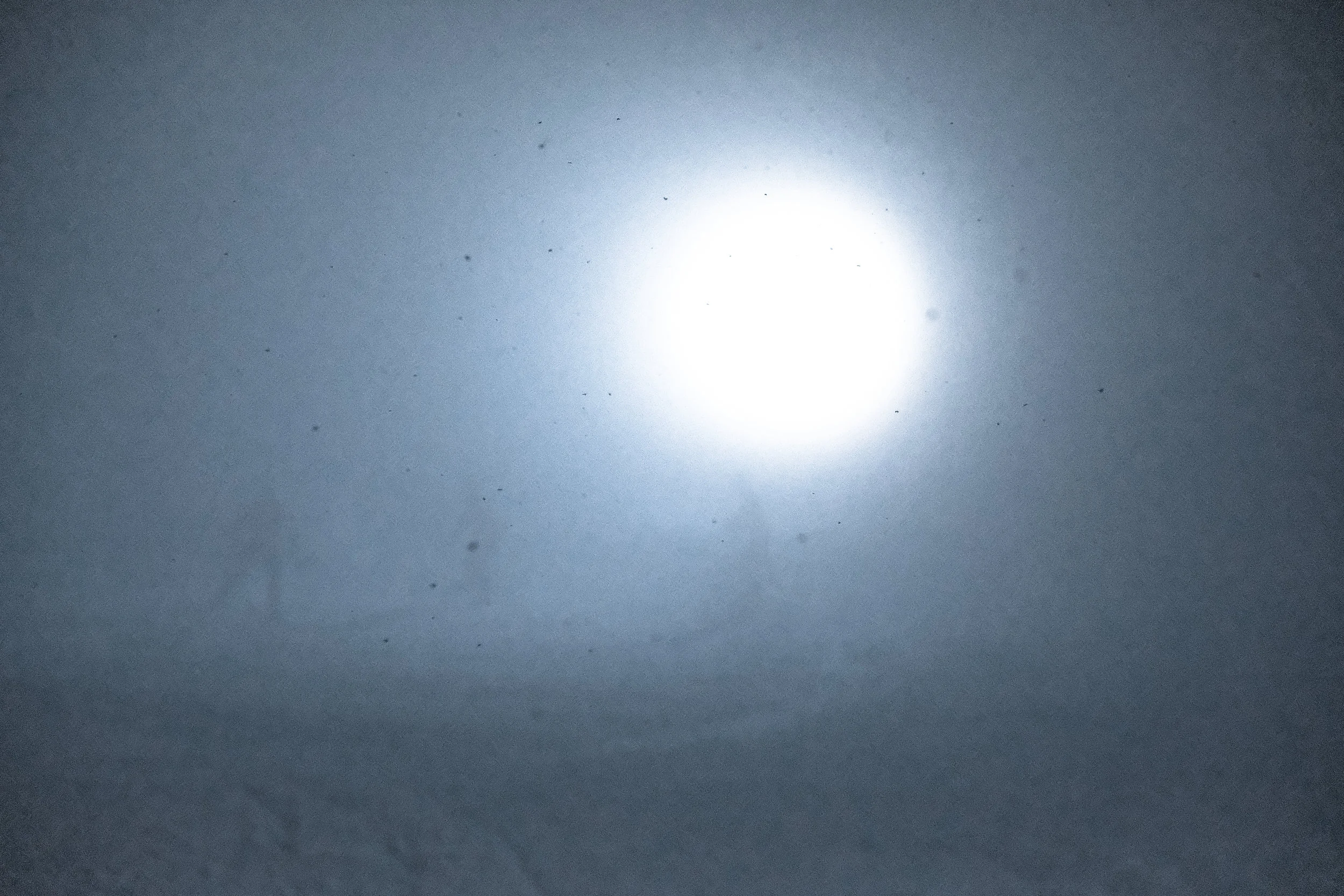 TheLight-7.jpg