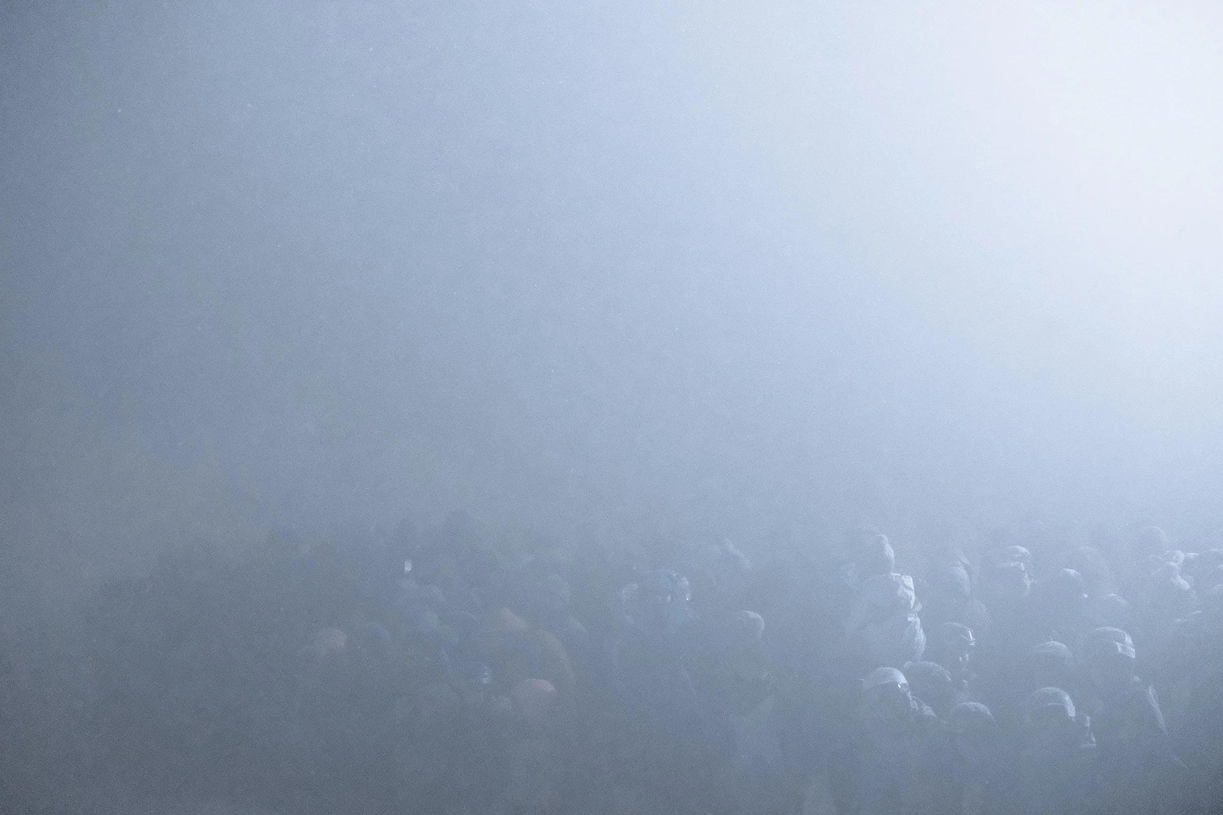 TheLight-8.jpg