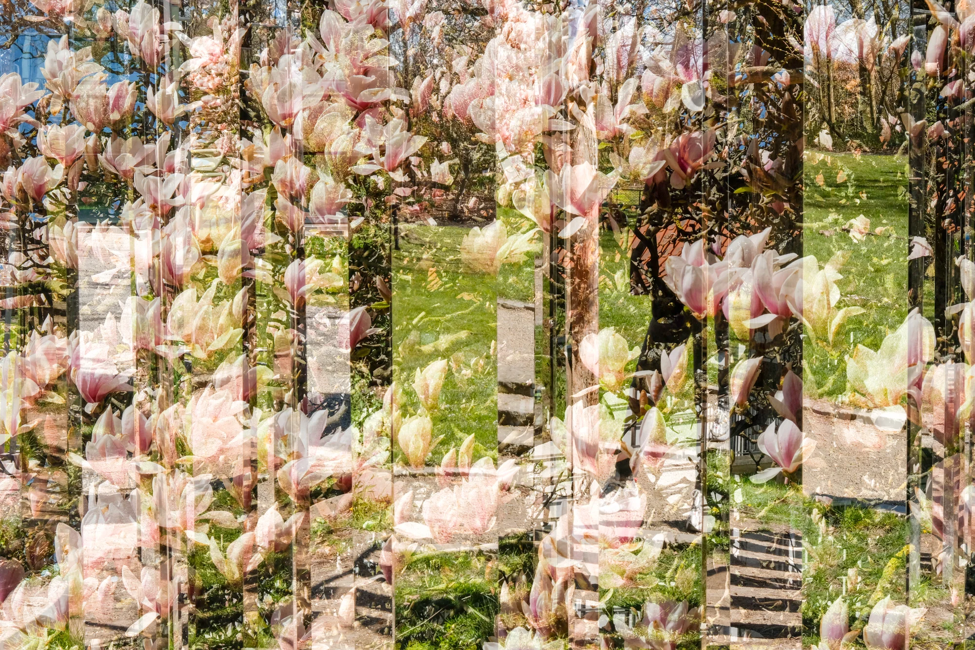 AllofMe-2.jpg