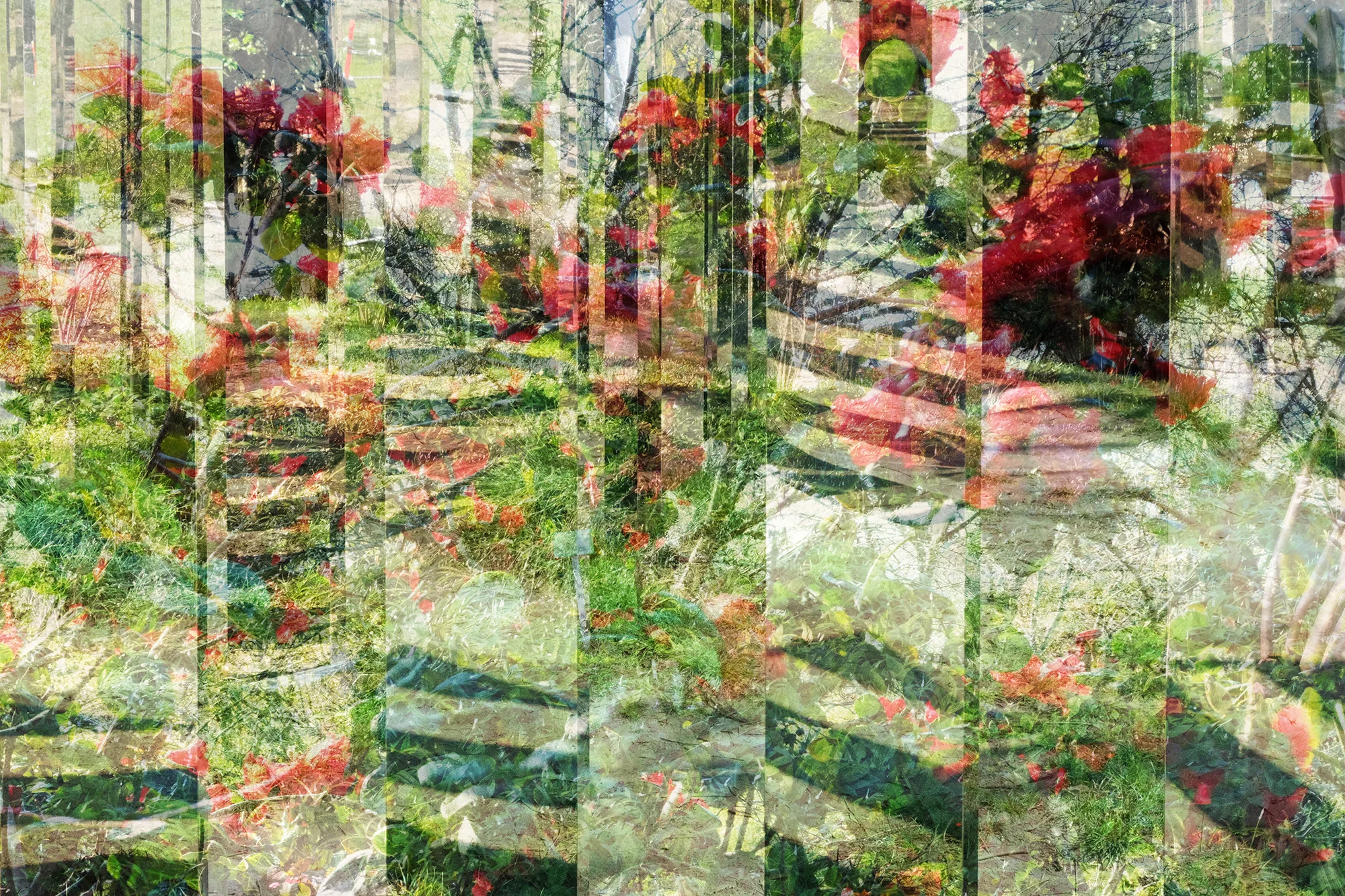 AllofMe-4_web.jpg