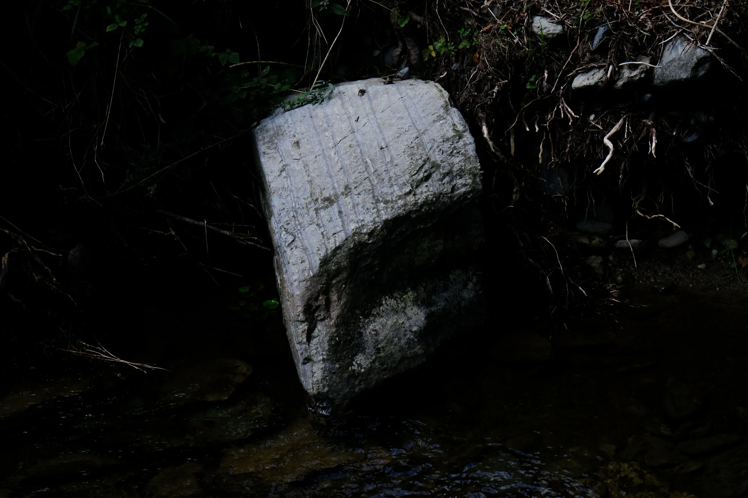 SYMBIOSIS-2.jpg