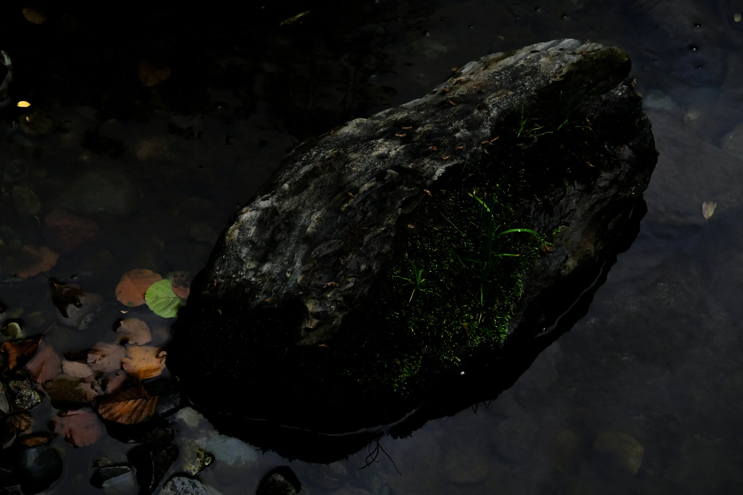 SYMBIOSIS-5.jpg
