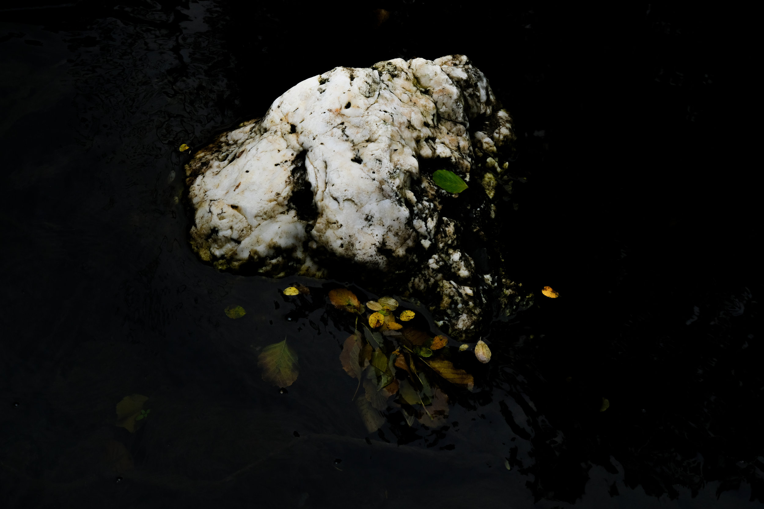 SYMBIOSIS-6.jpg