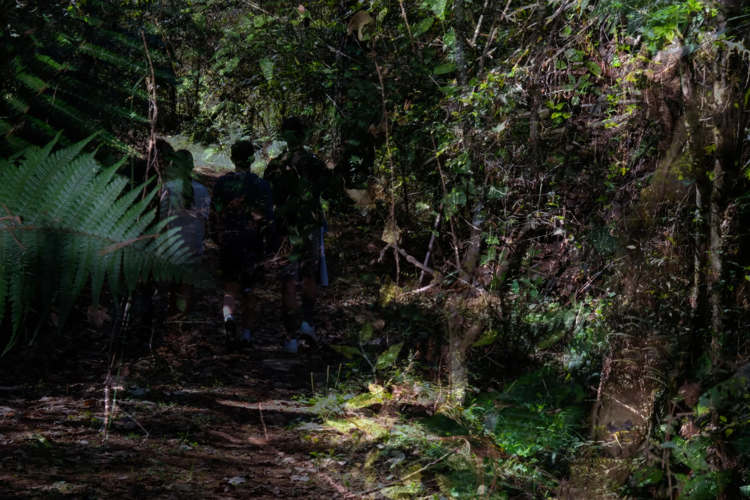 OJOdeAGUA-01.jpg