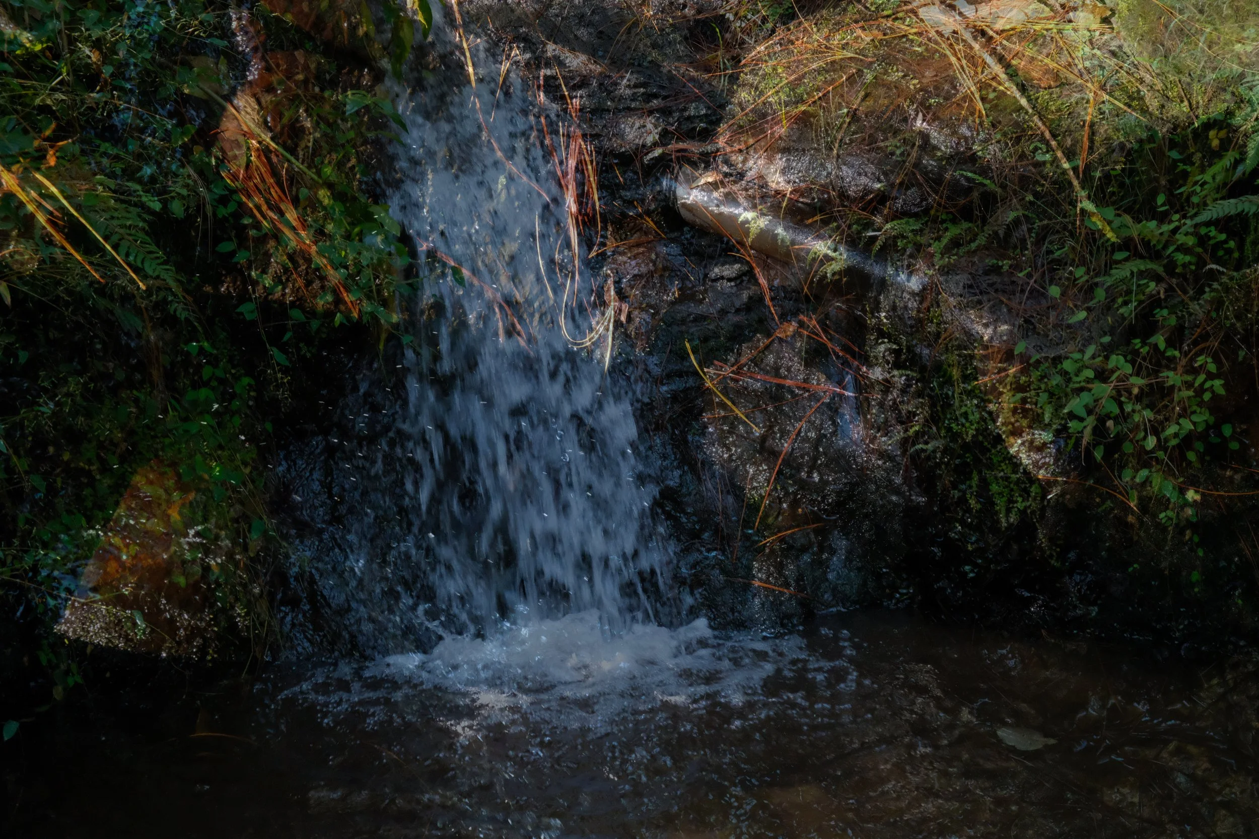 OJOdeAGUA-03.jpg