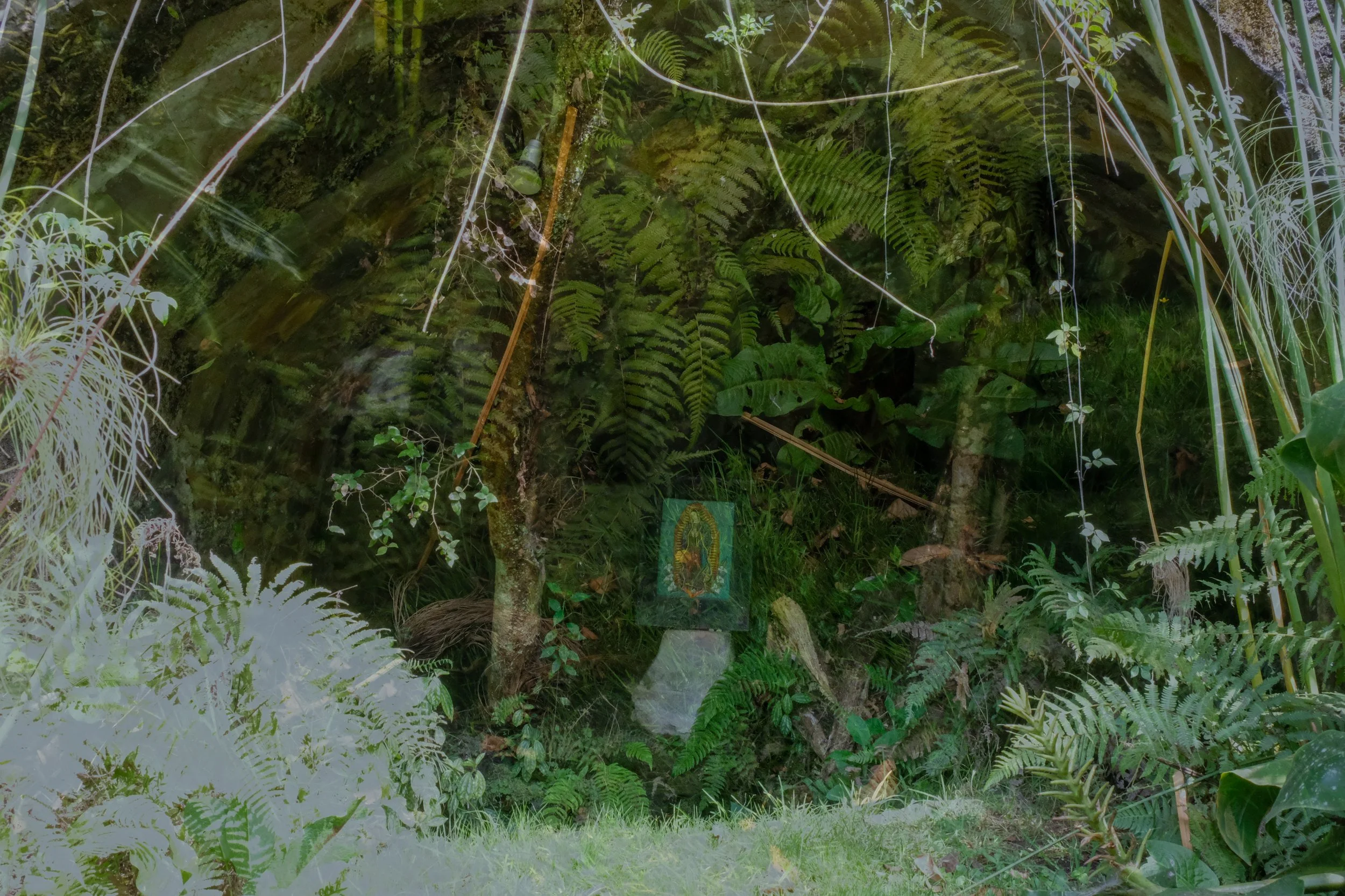 OJOdeAGUA-06.jpg