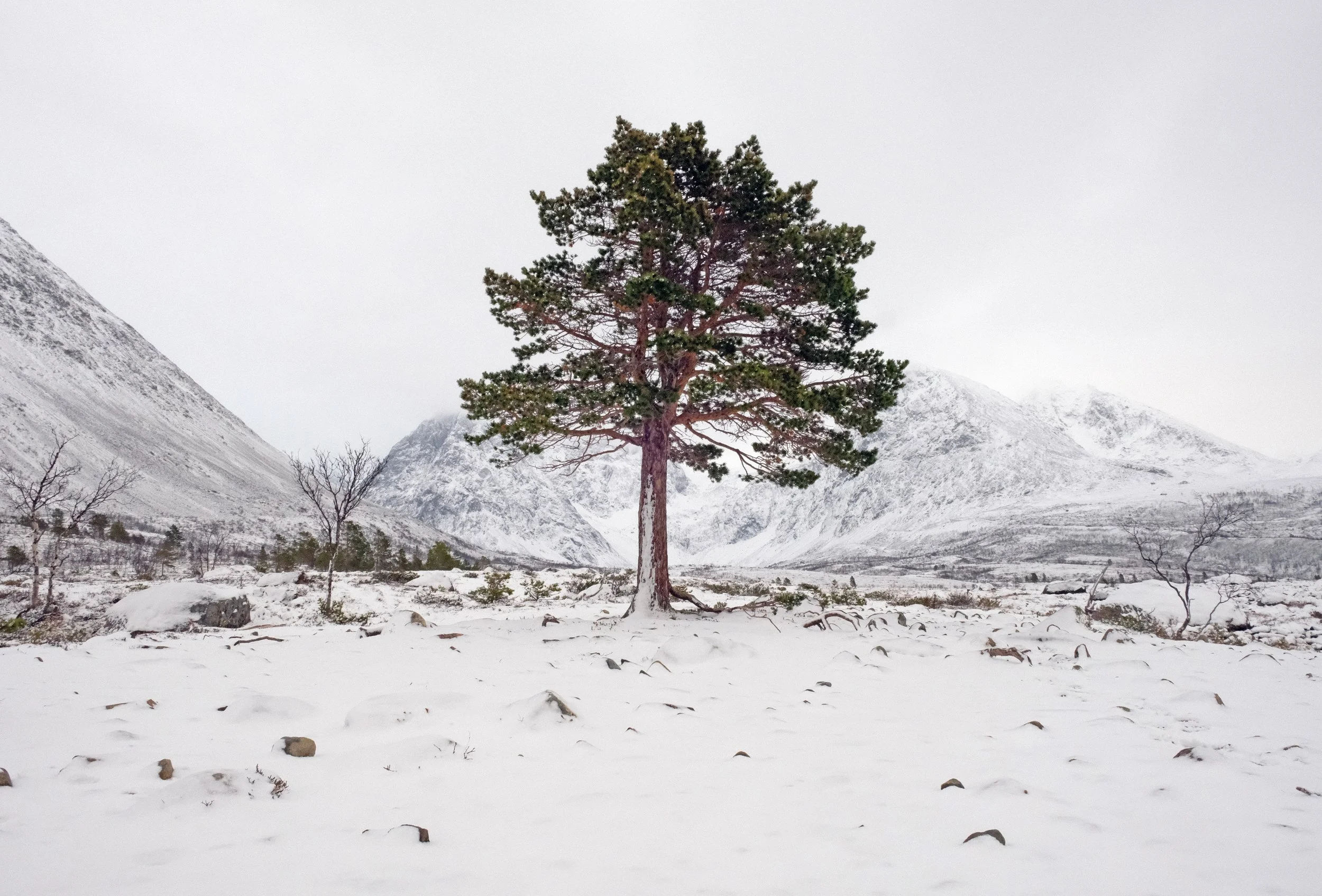 Lyngen_VNTJL_3.jpg