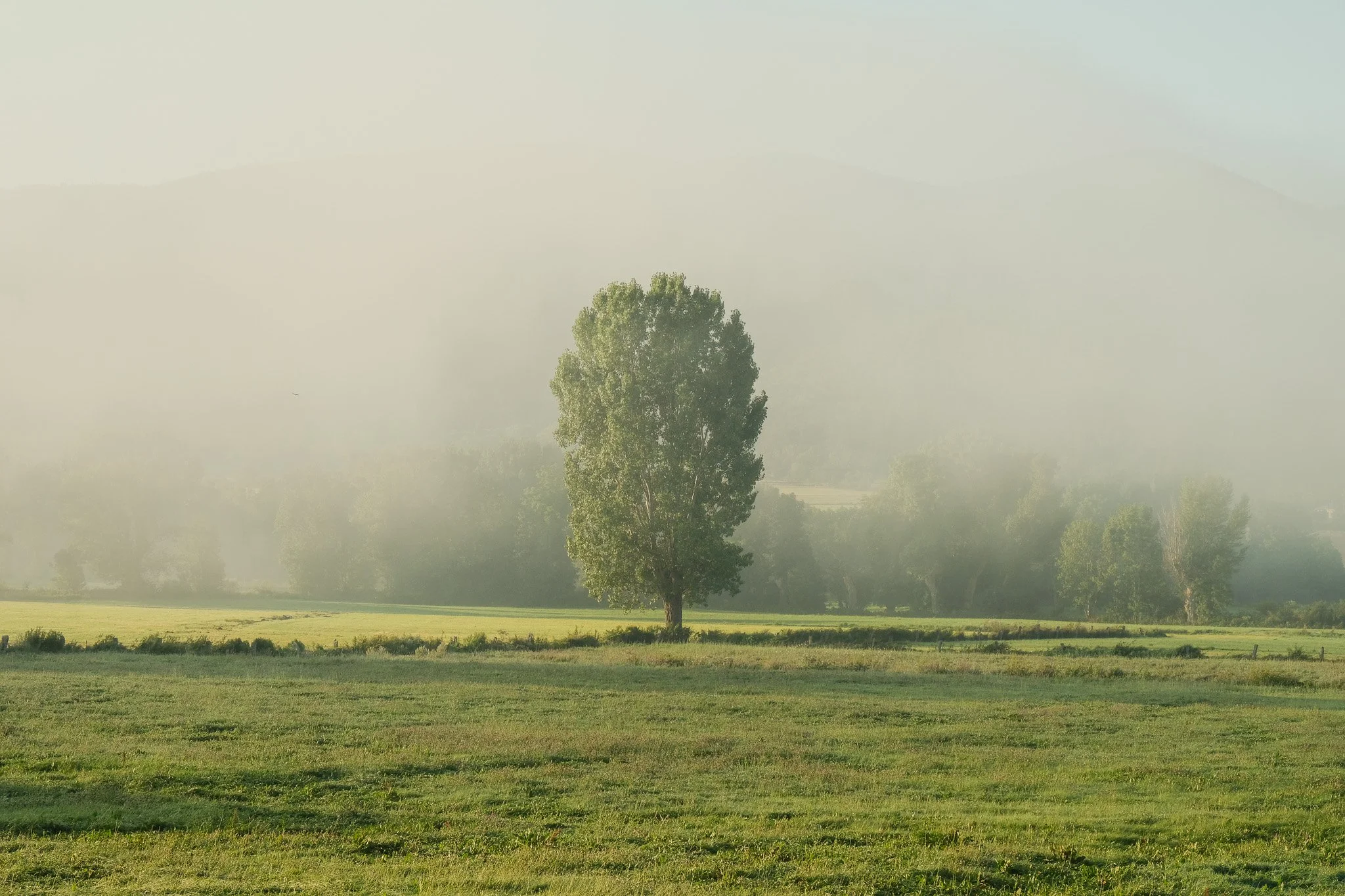 DSCF8759.jpg