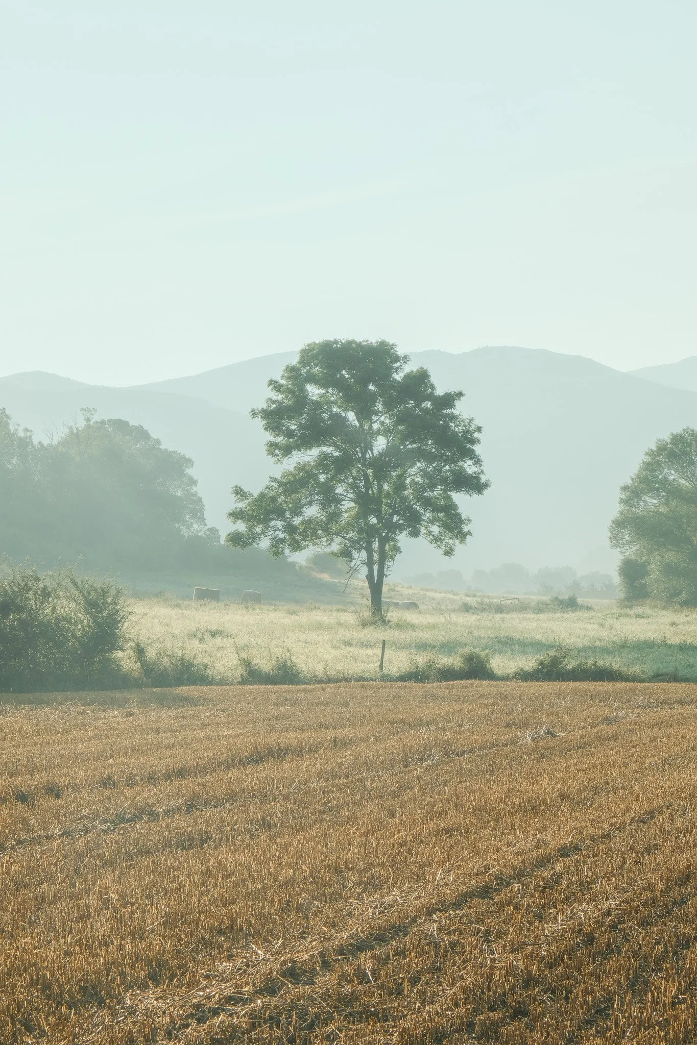 DSCF8791.jpg