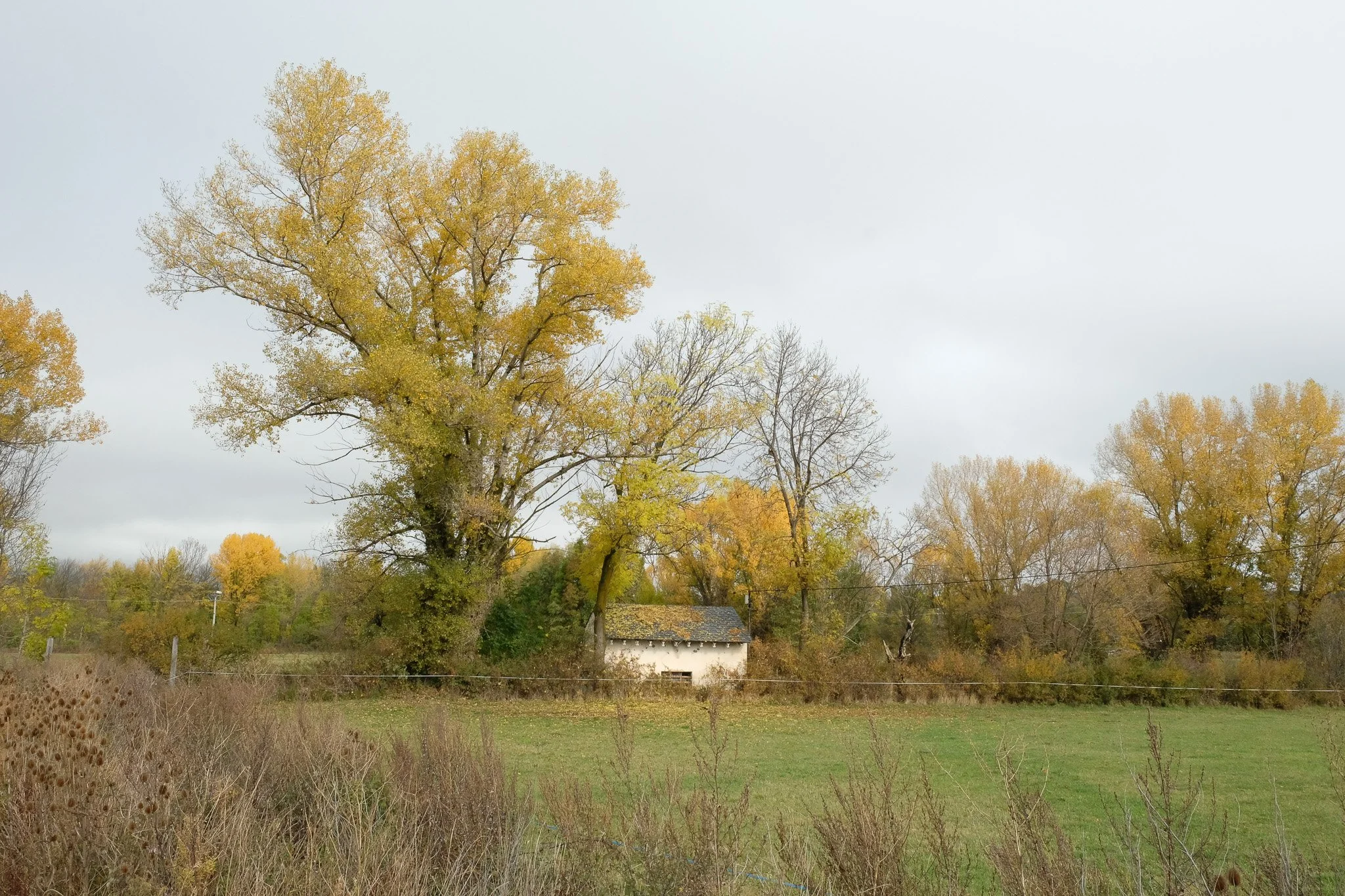 DSCF9463.jpg