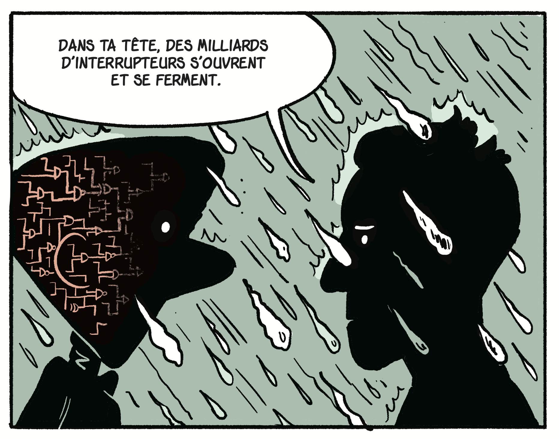 interupteurs.png