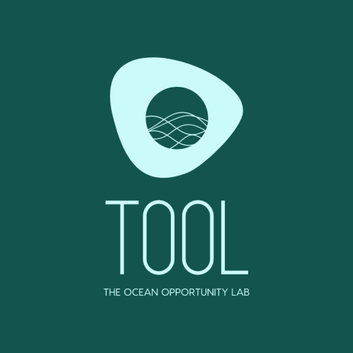 cropped-tool-dummy-logo-2.png