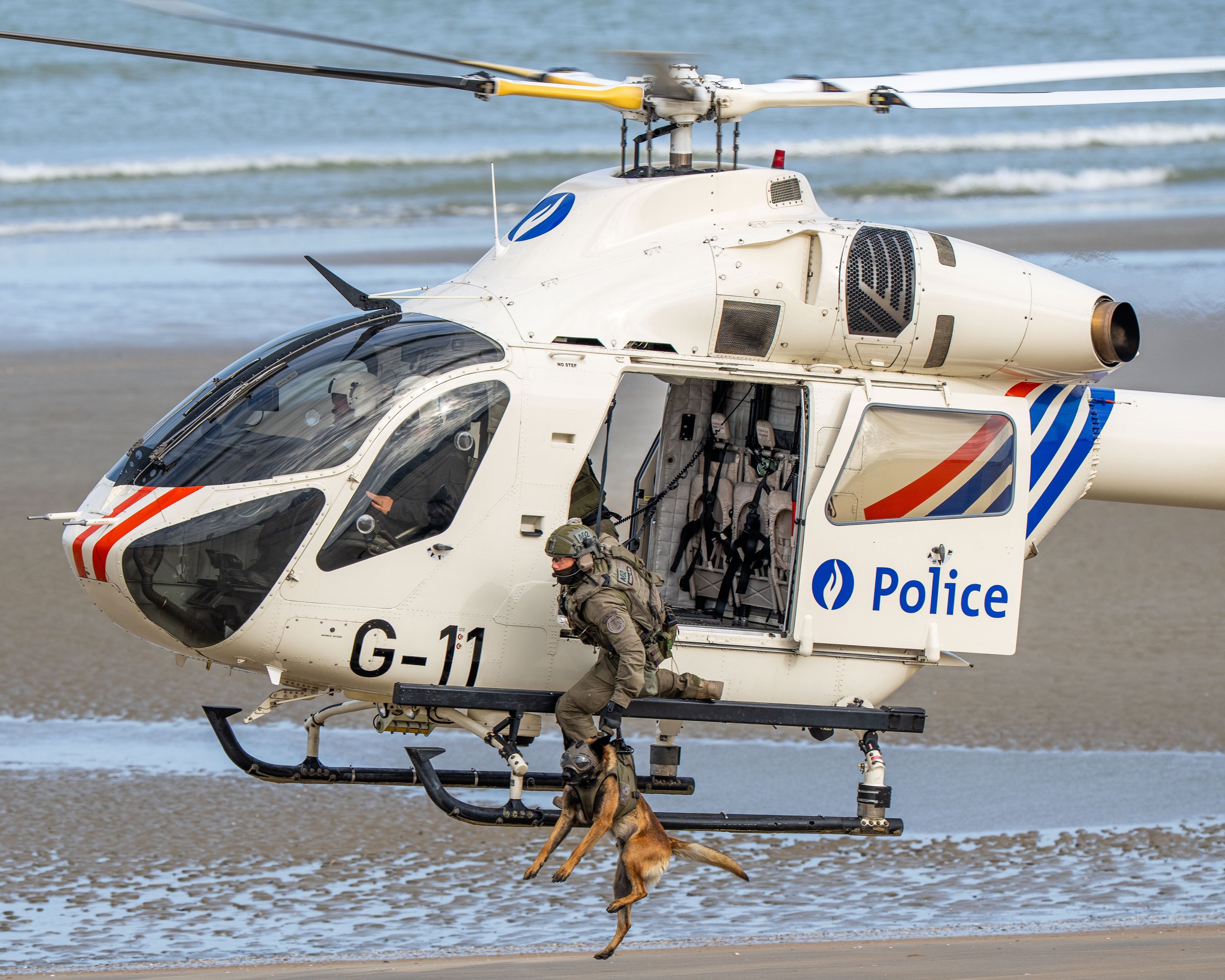  International  K9-DAY Koksijde