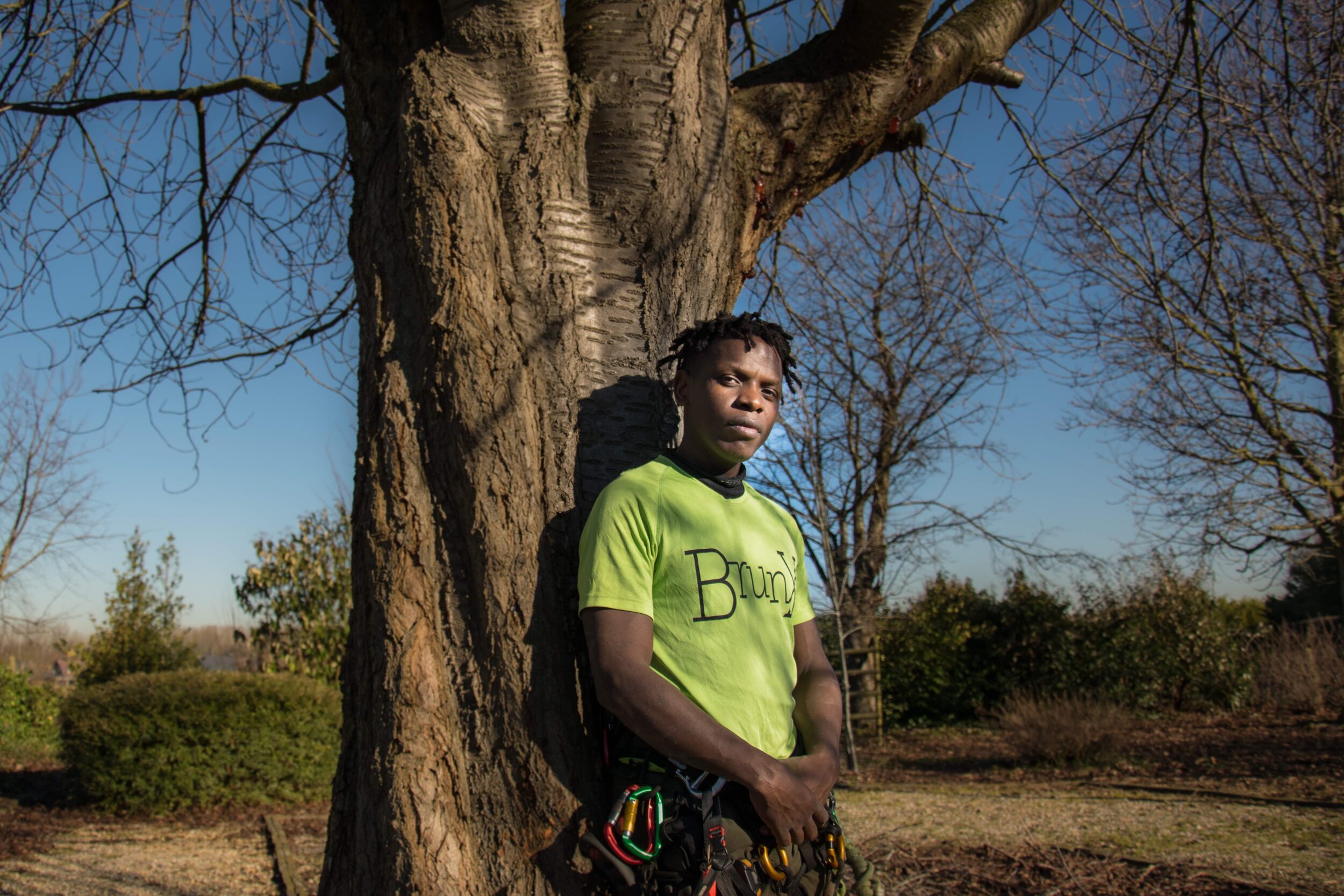 Biregeya De Clercq, tree surgeon 