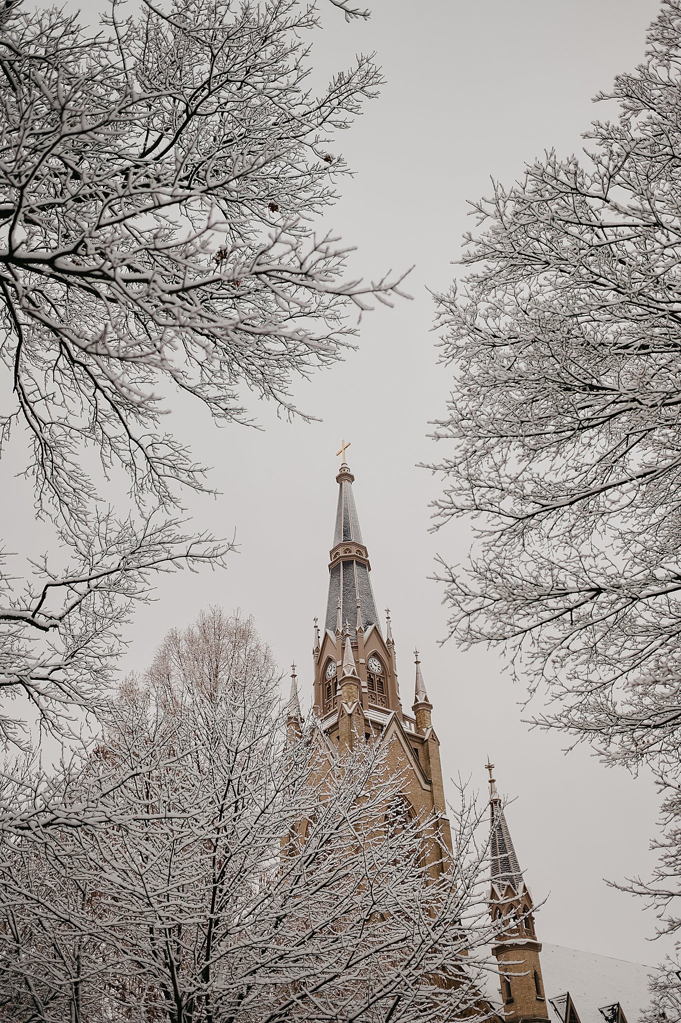 2024-12-23_0012.jpg