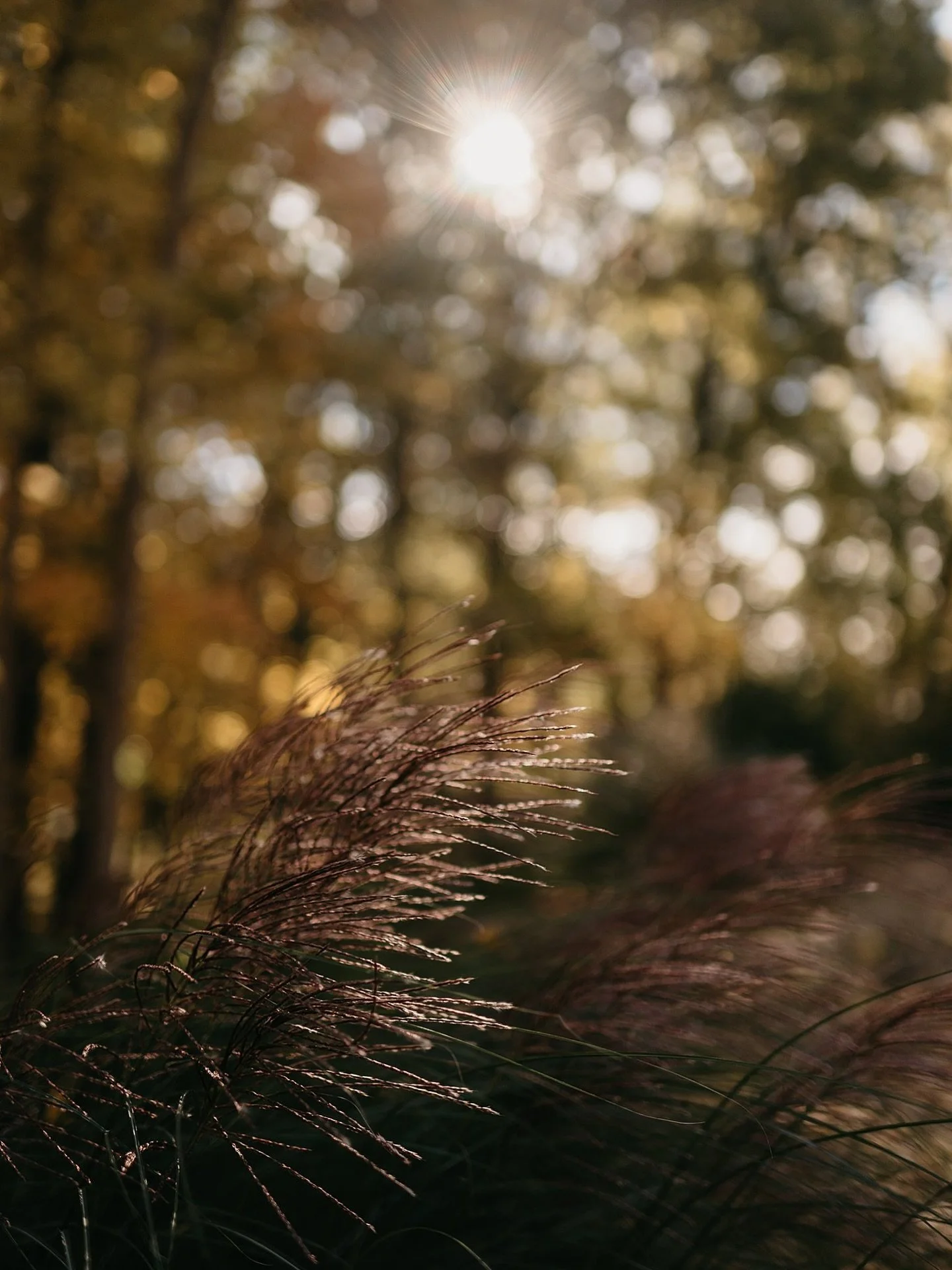 If I had a superpower, it would be to take away the pain of the world &hellip; solve all the problems that lead to war, hunger, violence and hate &hellip; and give hope to children around the globe. I often daydream, because life below the clouds is 