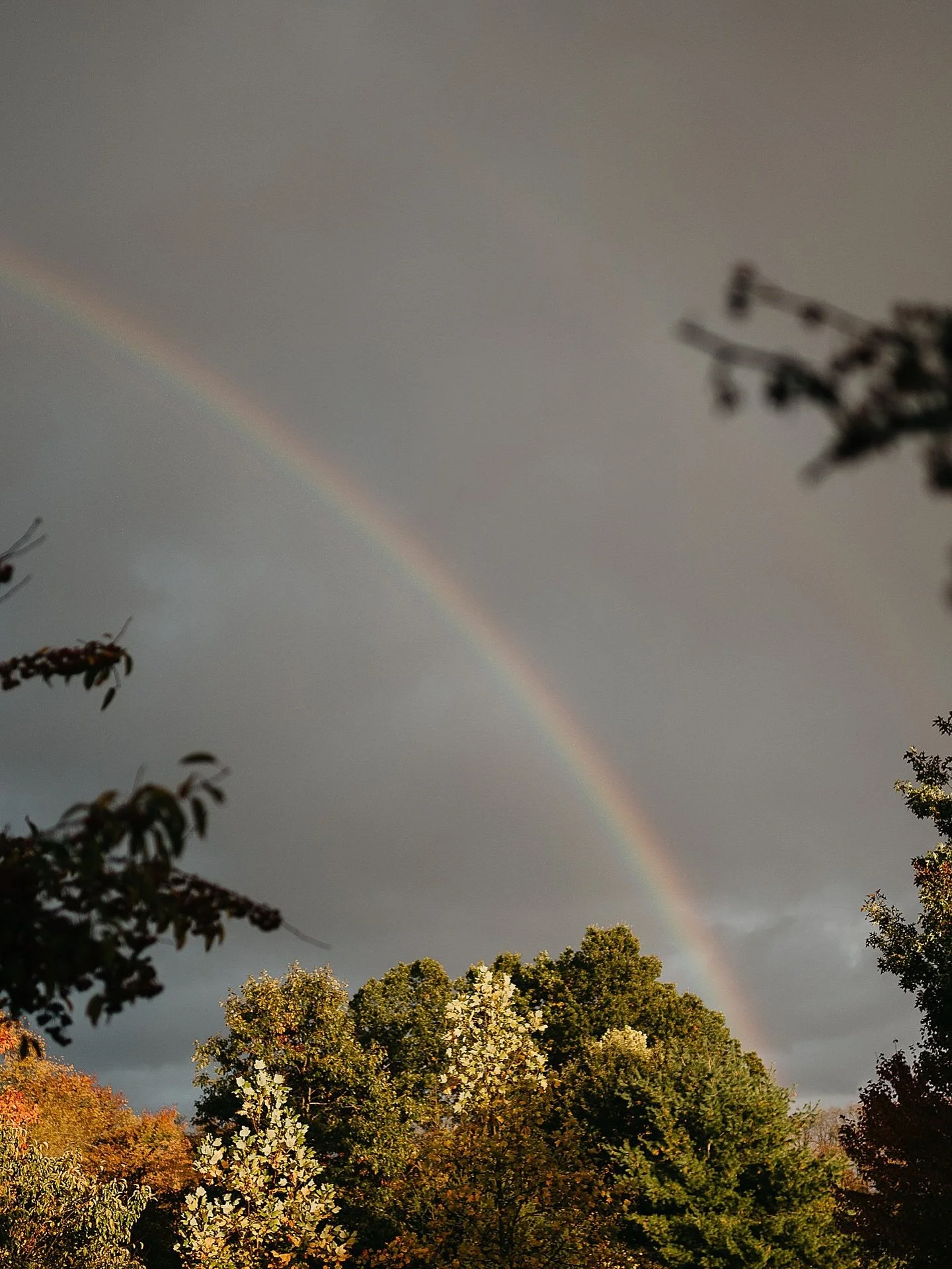 I often sit pondering, asking myself and God above, &ldquo;what can we do&rdquo; about the atrocities of the world. It plagues me every single day. I imagine it stings your hearts in similar ways. I have no simple answers. No real solutions. But I th