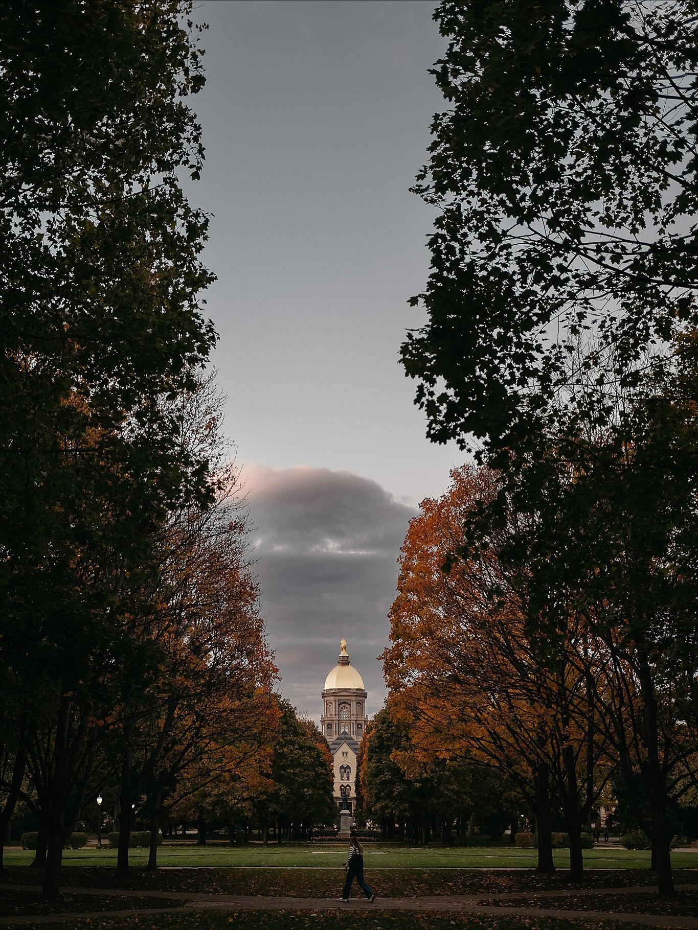 The changing seasons are always a reminder that nothing lasts forever;
Pain is not permanent;
Sadness is not a life sentence;
And joy can be found, even in the mundane.
#poetry #photography