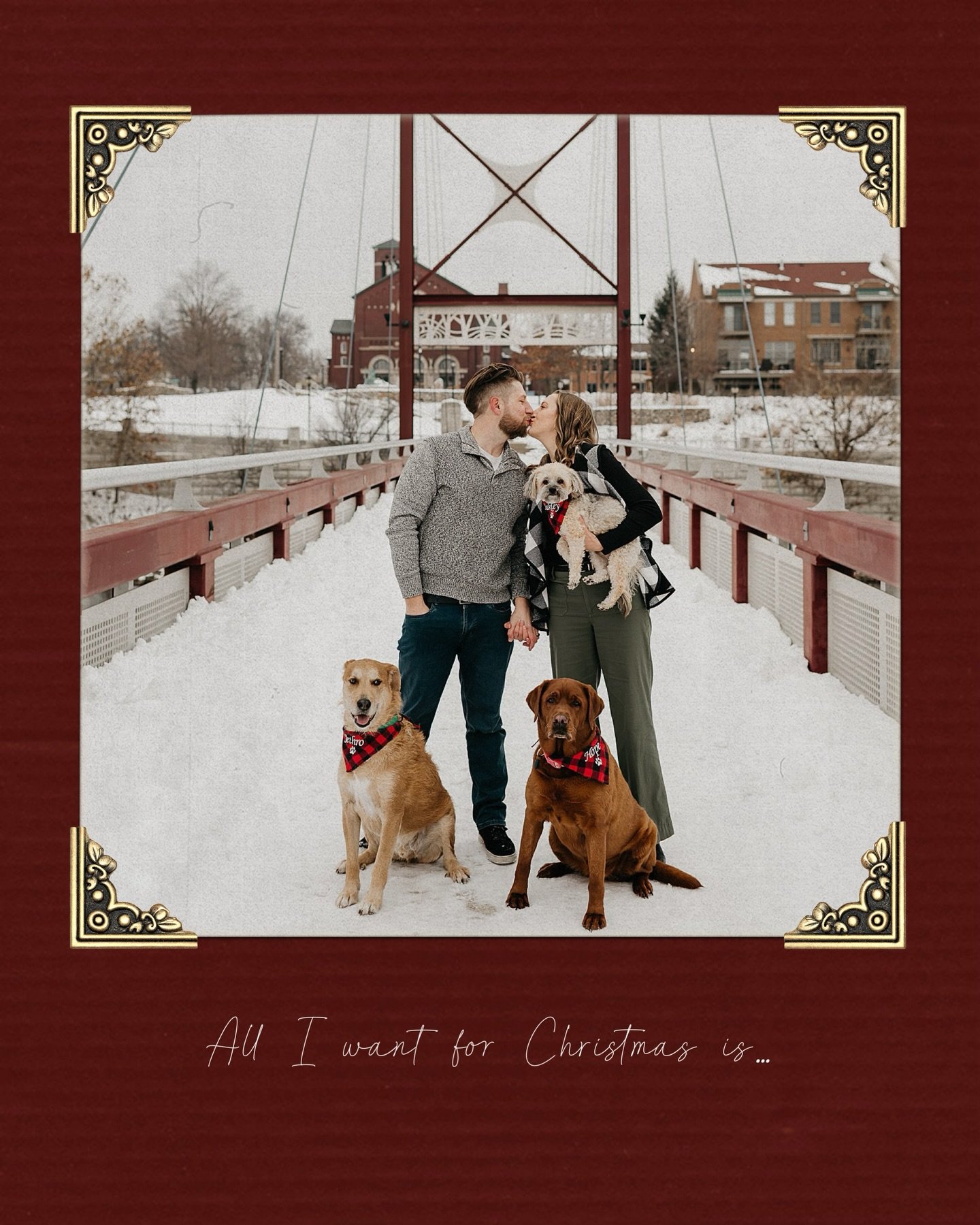 All I want for Christmas is you &hellip; and our pups! 🥹🎄
And maybe a gift certificate for a gift that keeps on giving! 📸 Snag a gift certificate for your loved ones and receive 25% off through December 24th! Gift certificates can be sent via post