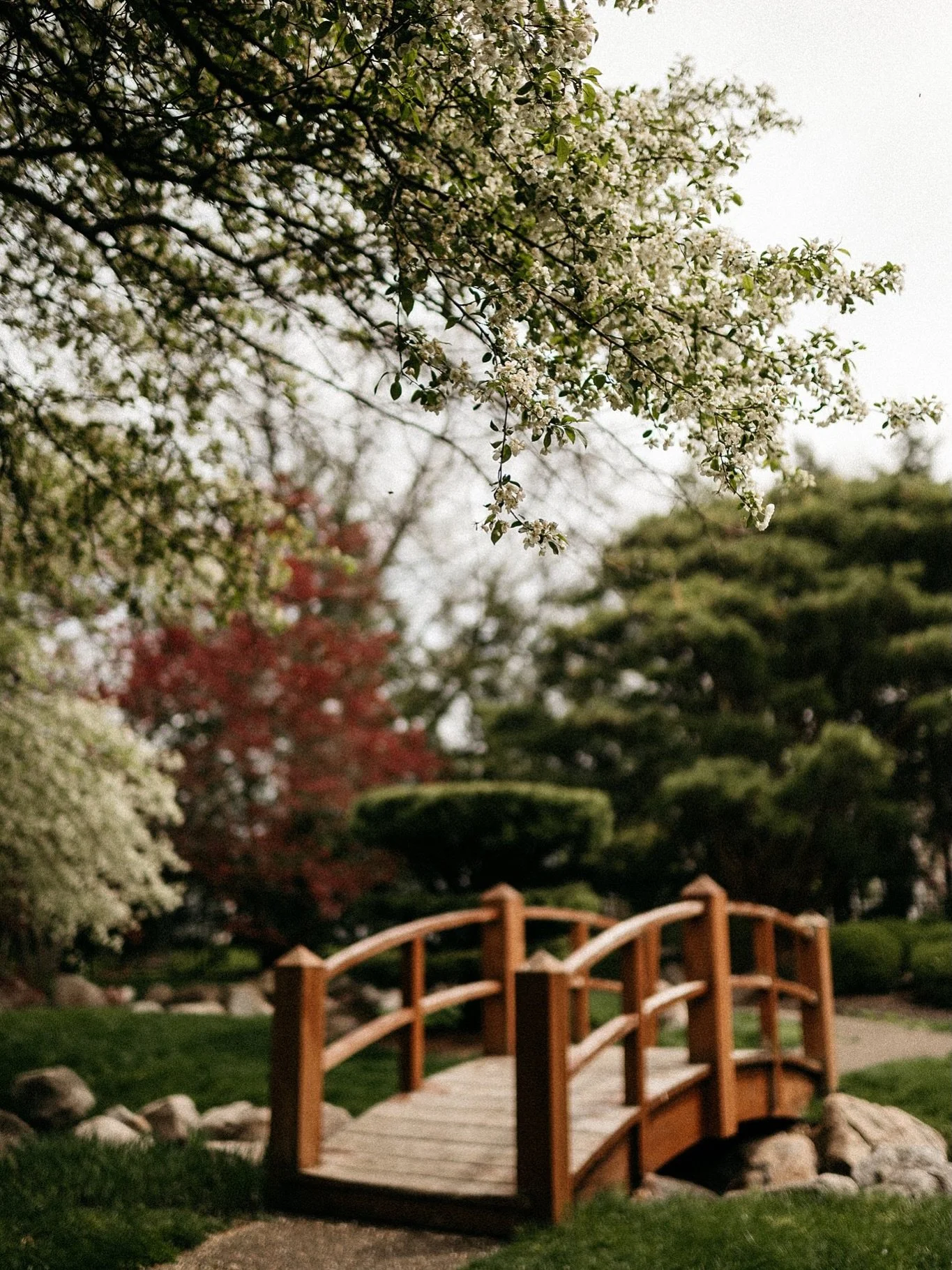 Nature brings such reverence, especially in the season of rebirth. Everything is awakening again and somehow in this season, hope isn&rsquo;t a distant thought or idea, but a reason to keep fighting for a better tomorrow. Hello, spring. 💛