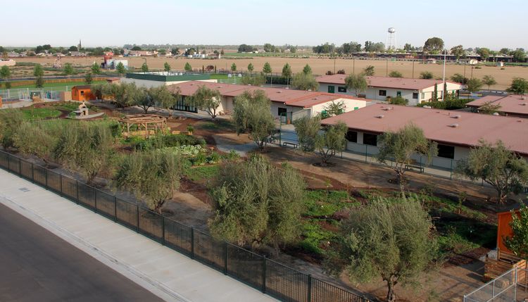 Grimmway Academy's Edible Schoolyard, Arvin CA
