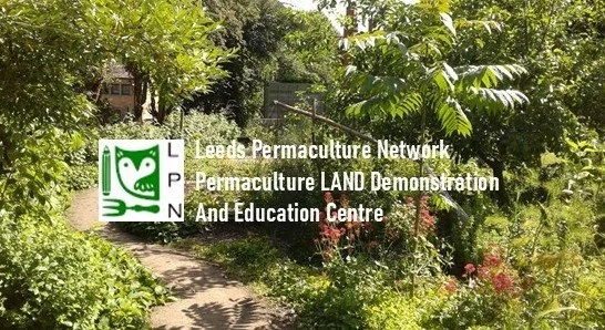 BF header pic for website.jpg