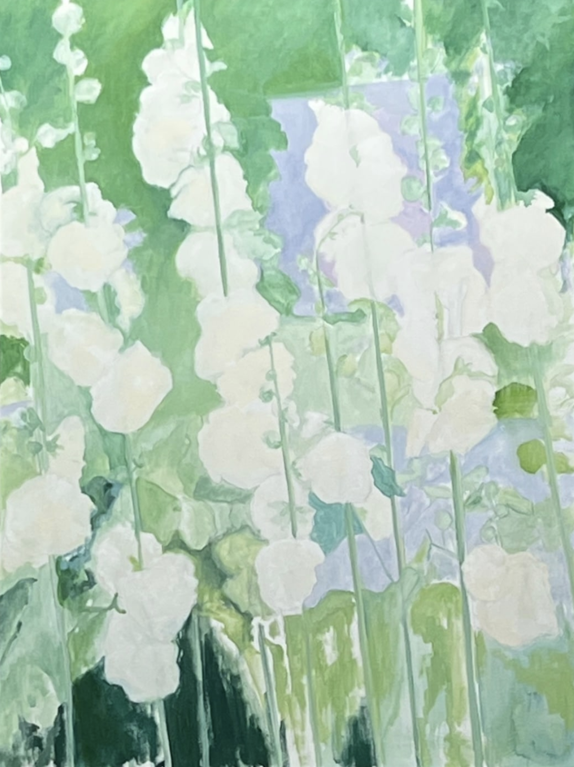 White Hollyhocks, Oil on Canvas, 40" x 30"