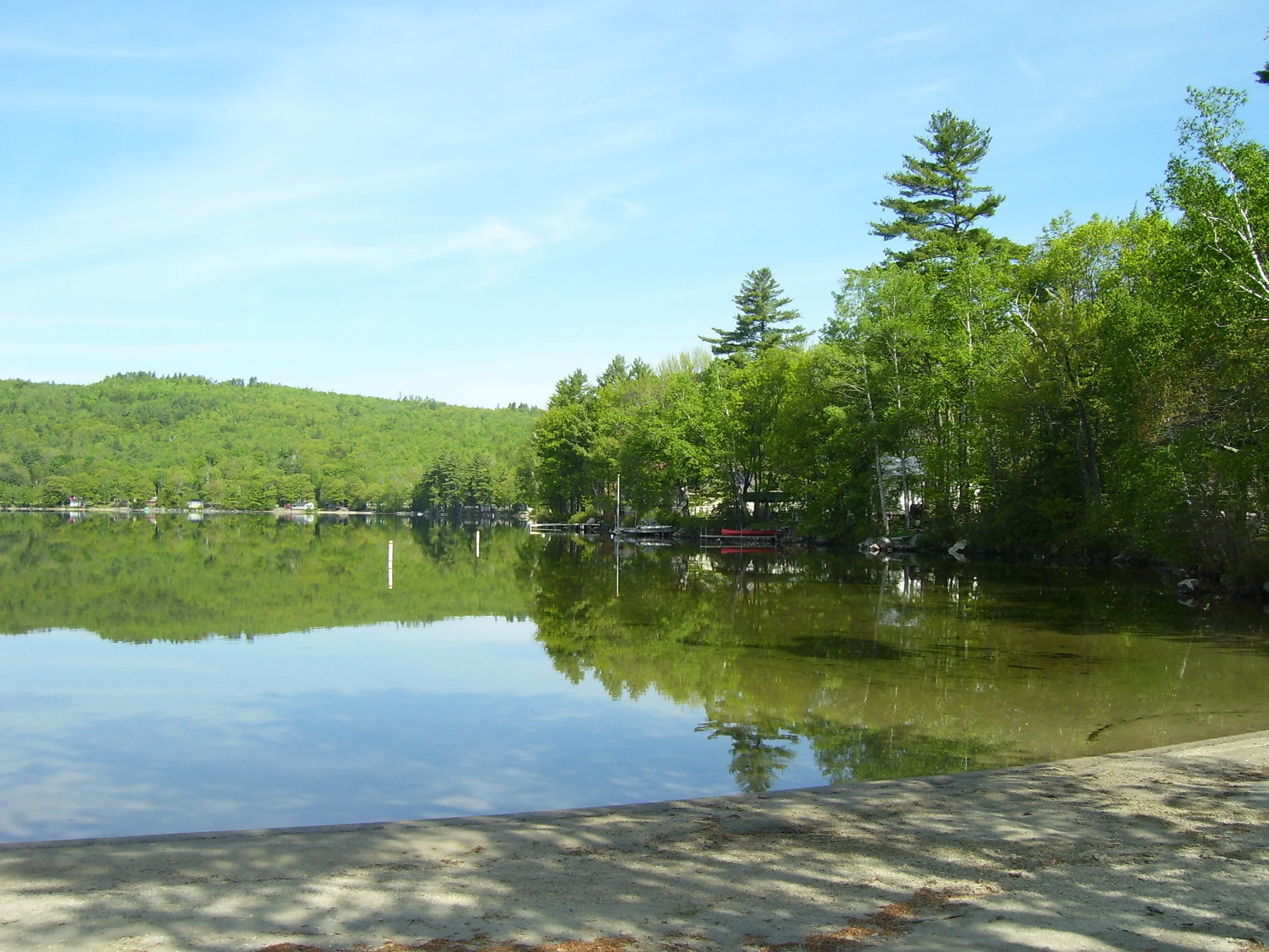 Большой искусственный водоем. Как арендовать пруд. Платная рыбалка с домиками на берегу. Усадьба в лесу у озера псковская фермерское. Как арендовать пруд.