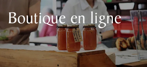 création-conception-réalisation-boutiques-en-ligne-eCommerce-eShop-web-designer-webmaster.jpg