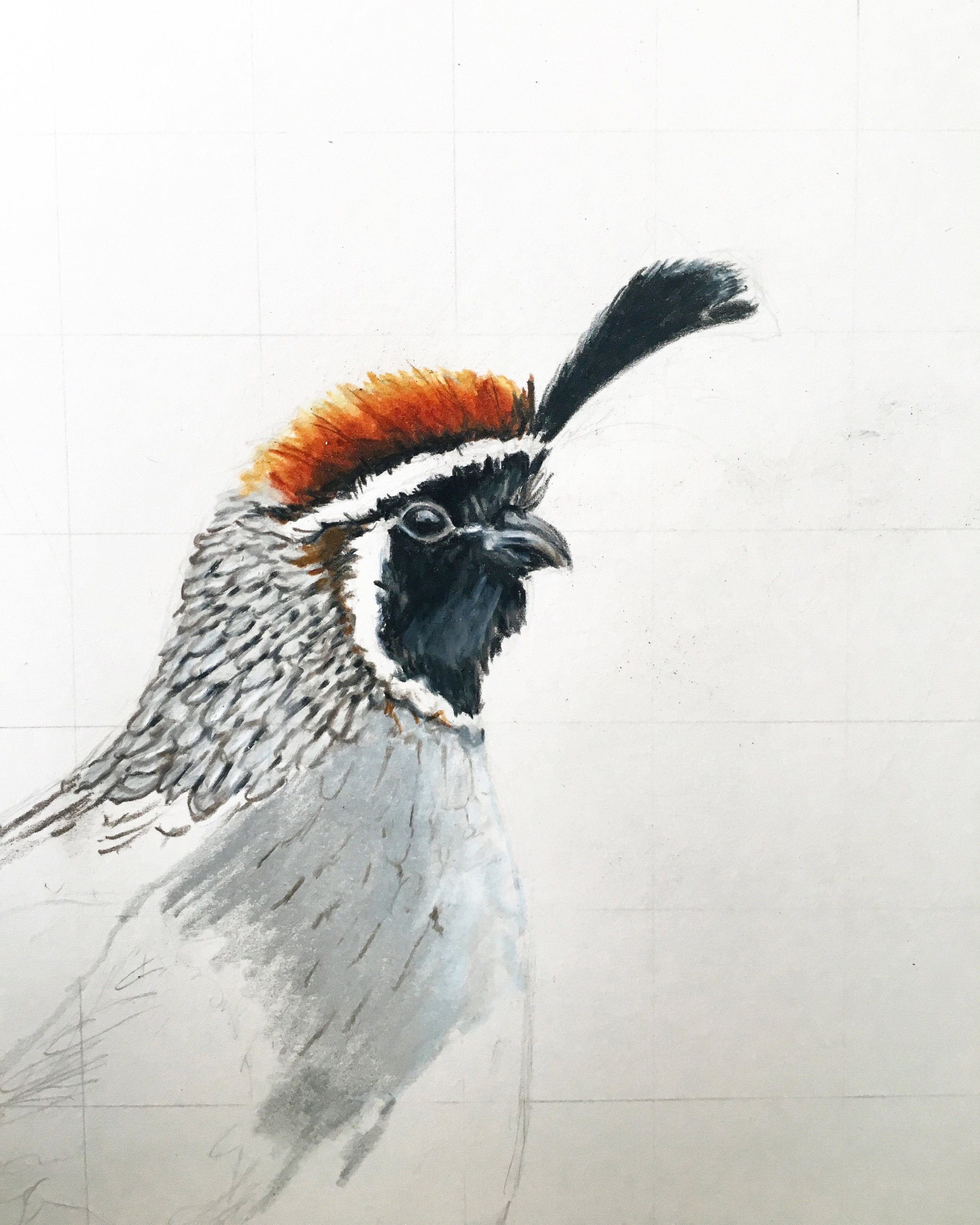 The Upland Series, no. 1