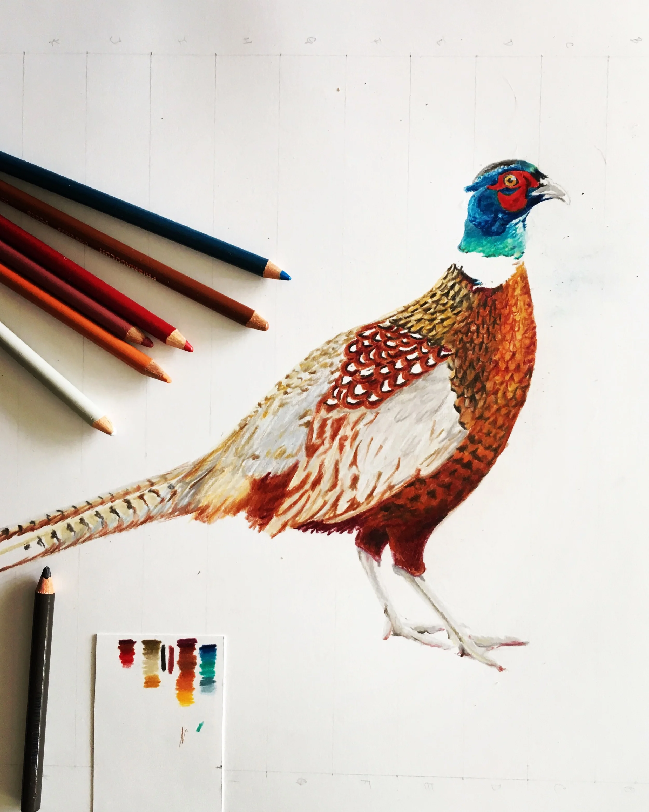 The Upland Series, no. 2